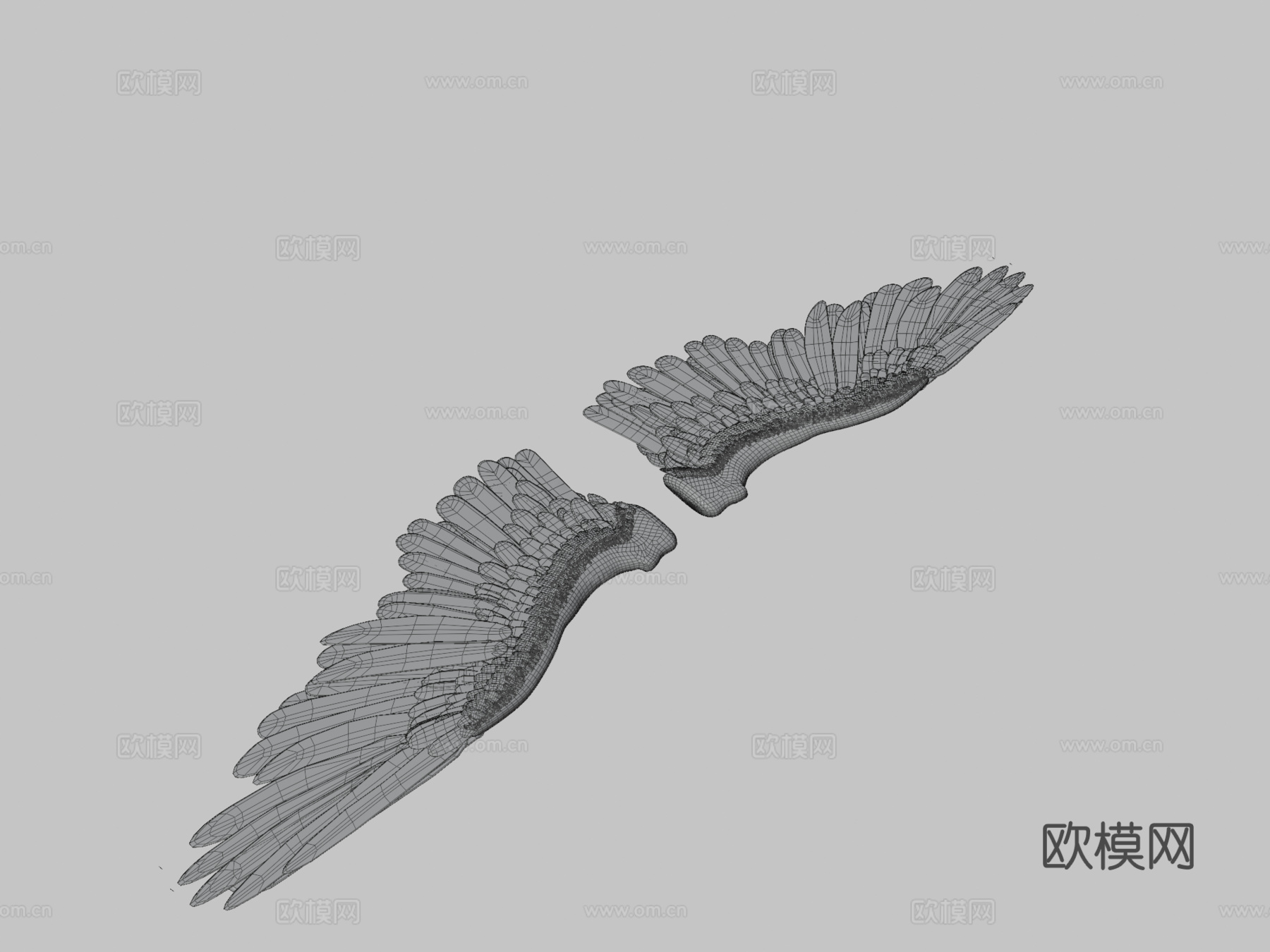 天使或鸟翼3d模型