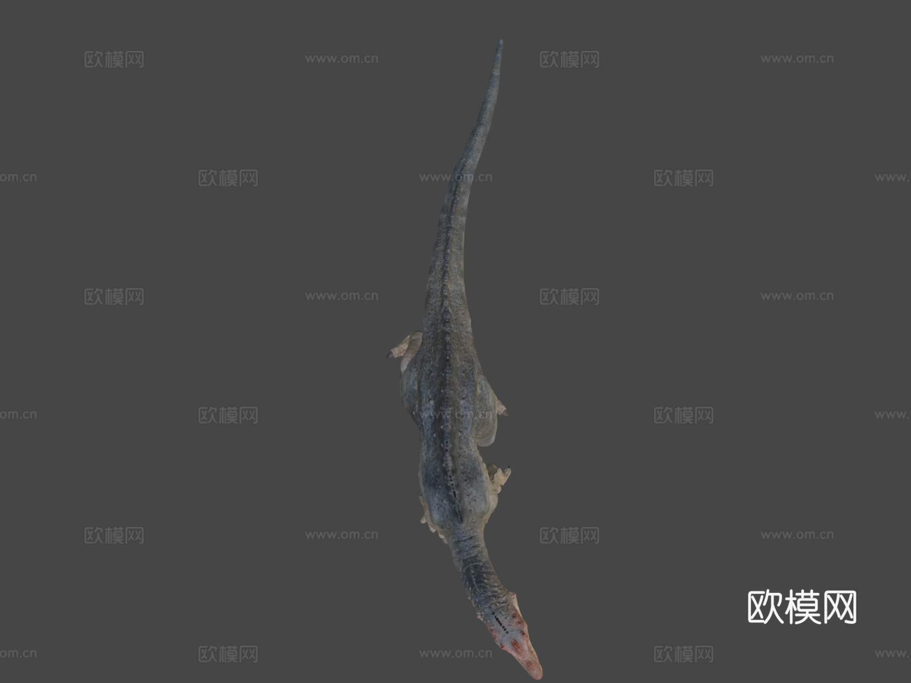 棘龙3d模型
