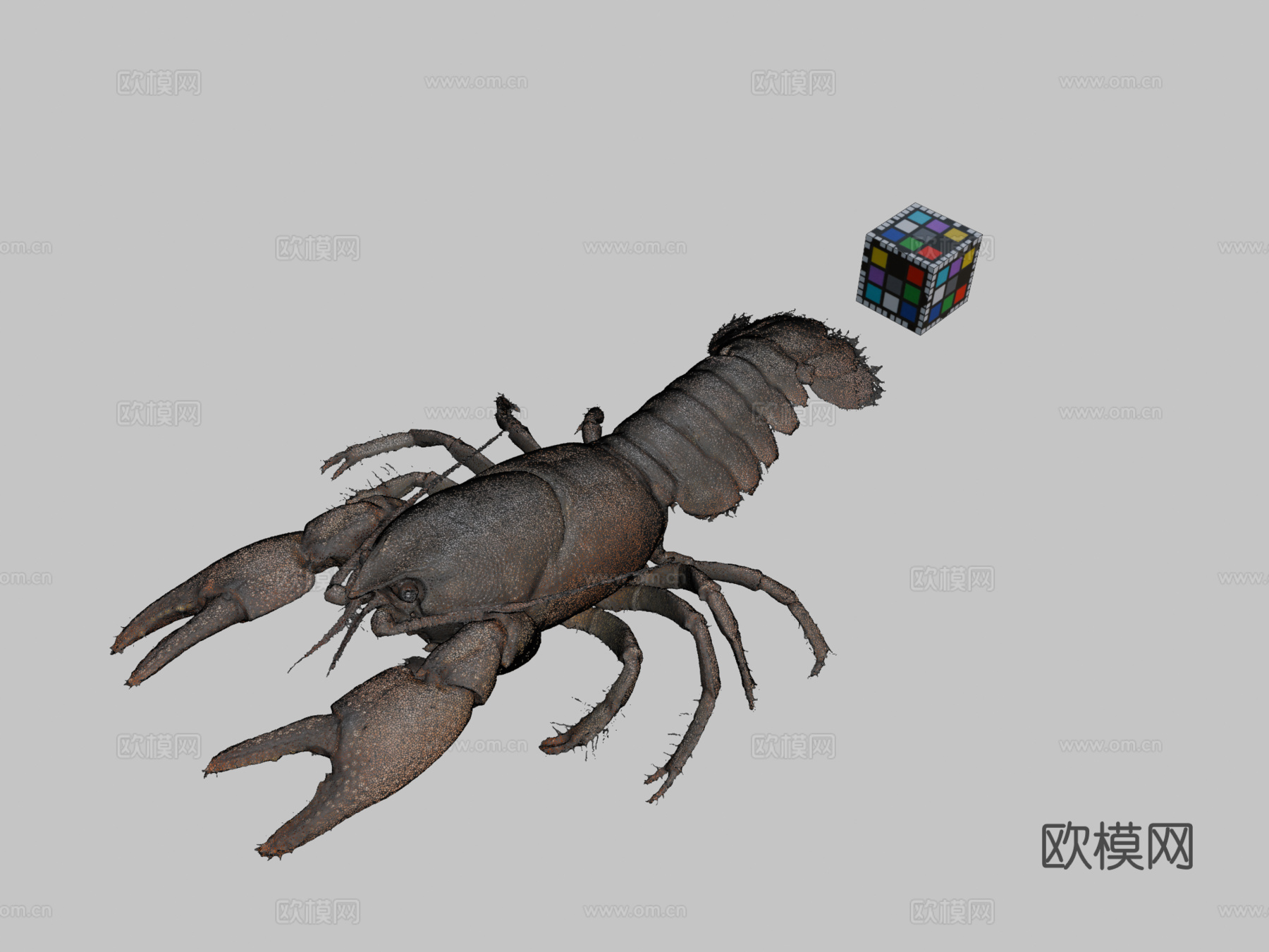 CC0日本蝲蛄?♀日本小龙虾3d模型