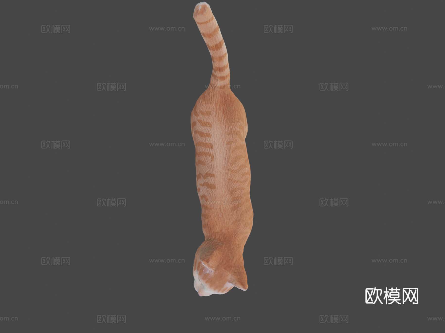 微型猫3d模型
