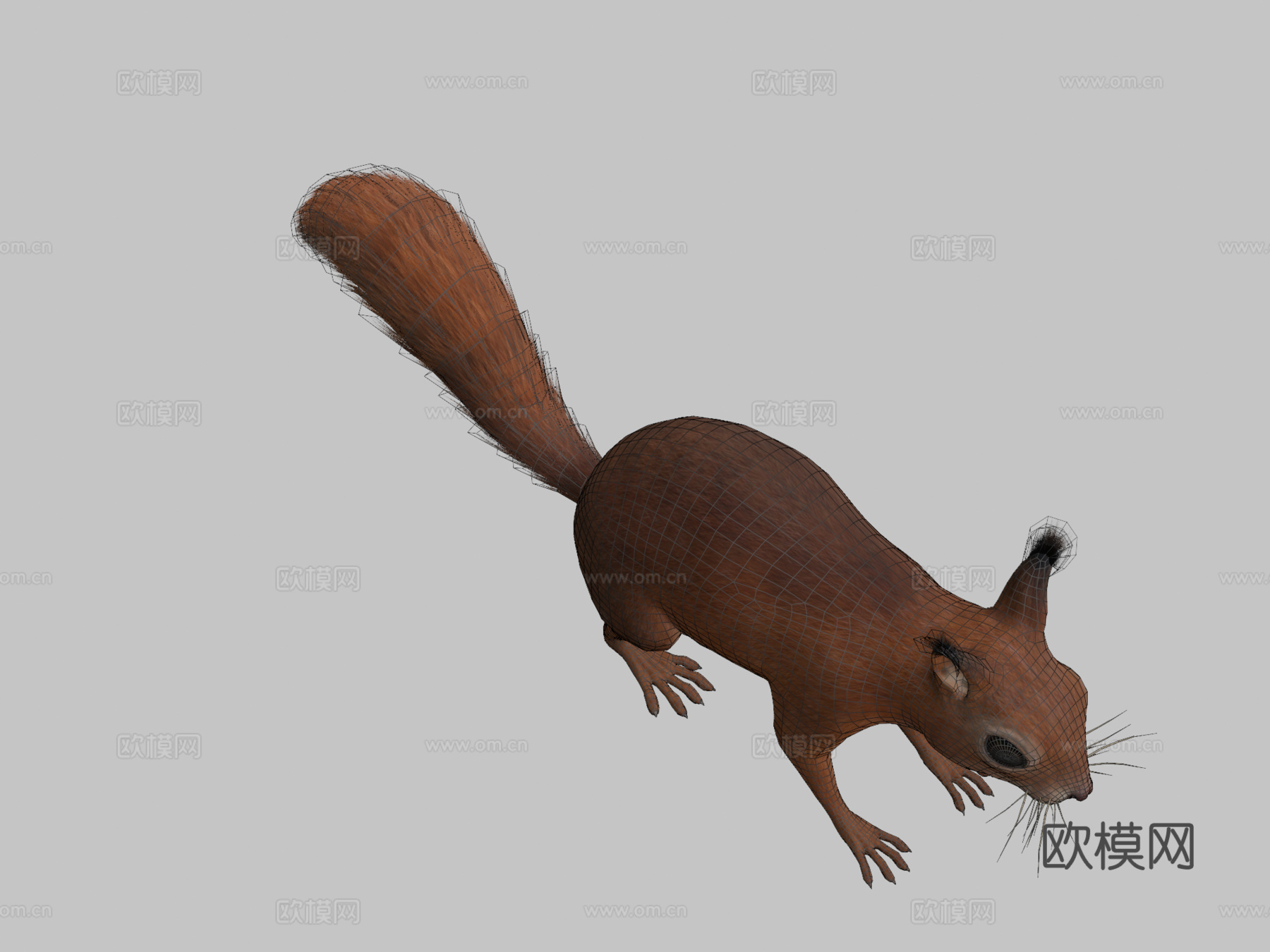 松鼠3d模型