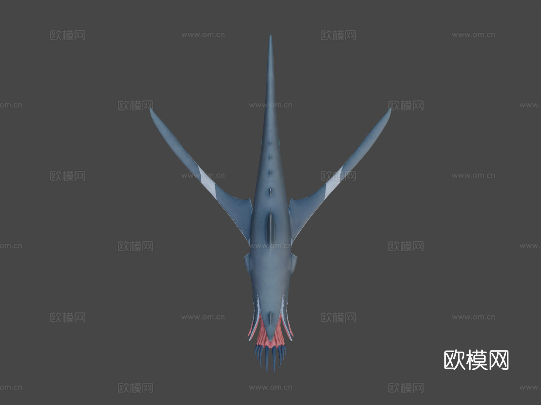 鱿鱼鲨3d模型