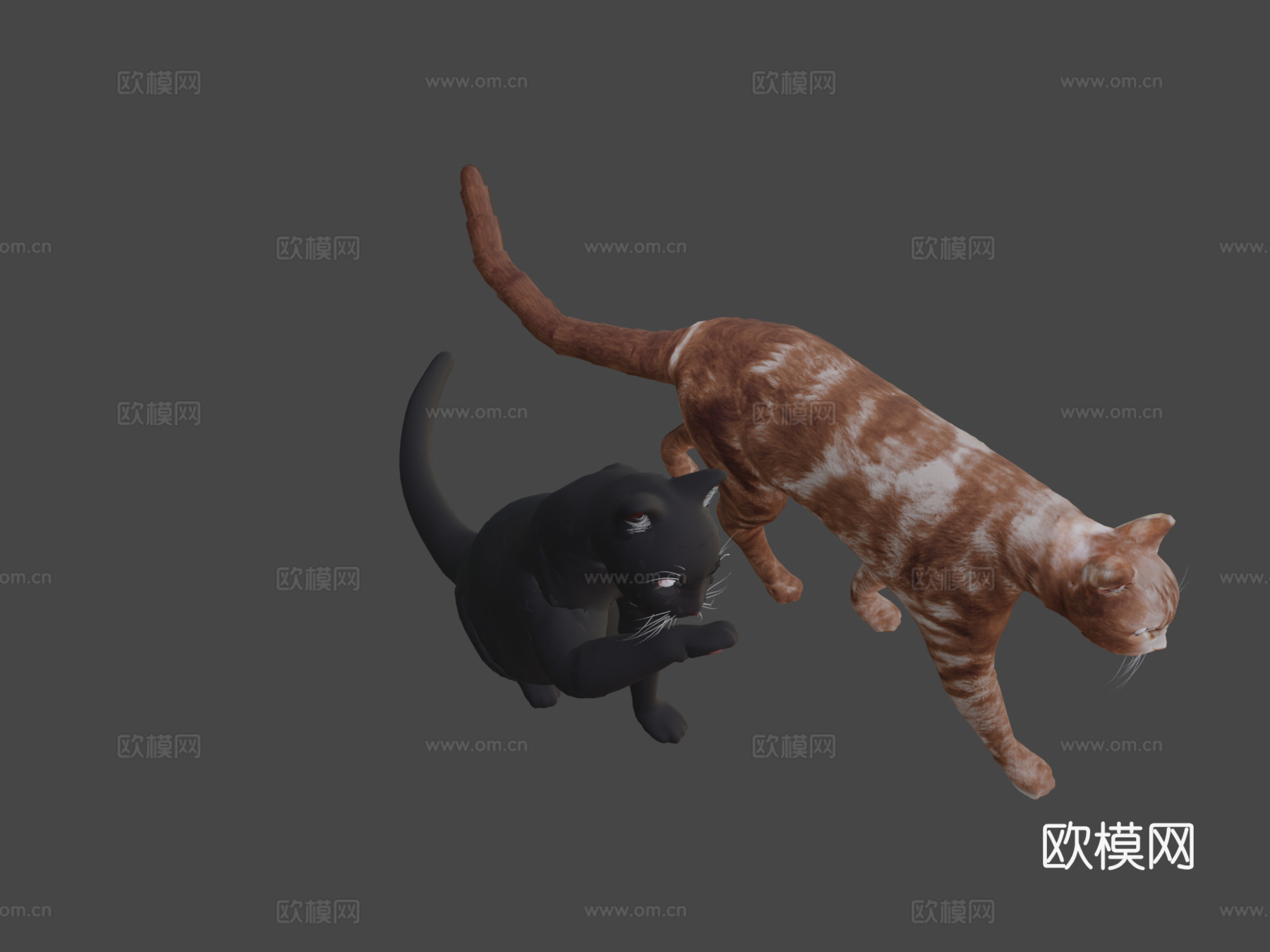 名叫玛吉的猫3d模型
