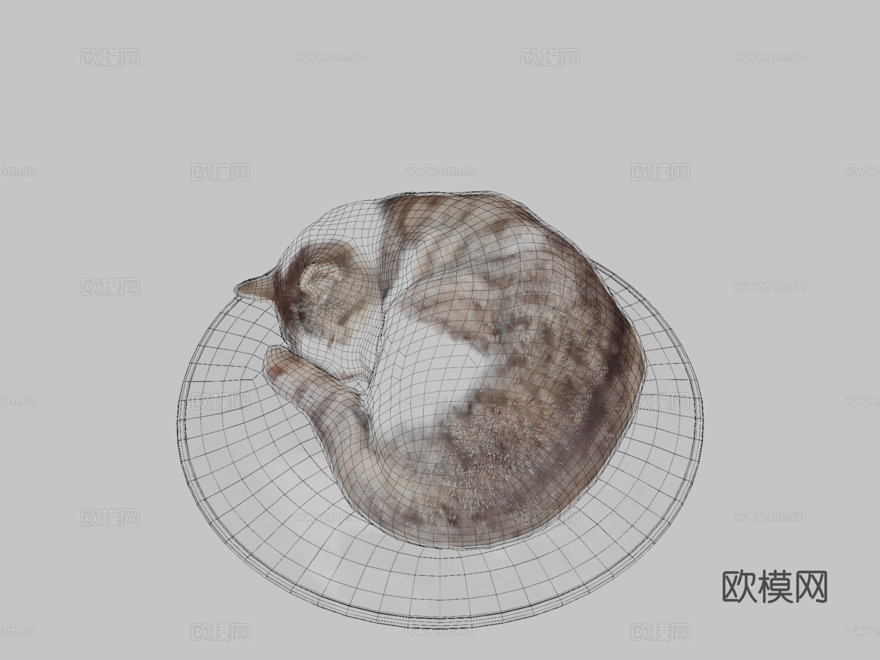 垫子上睡觉的猫3d模型