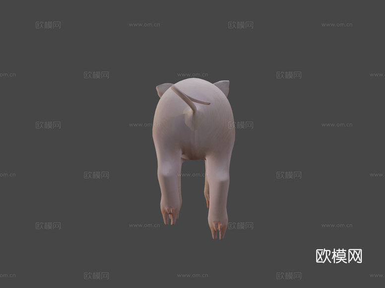 小猪3d模型下载(渲染图5)