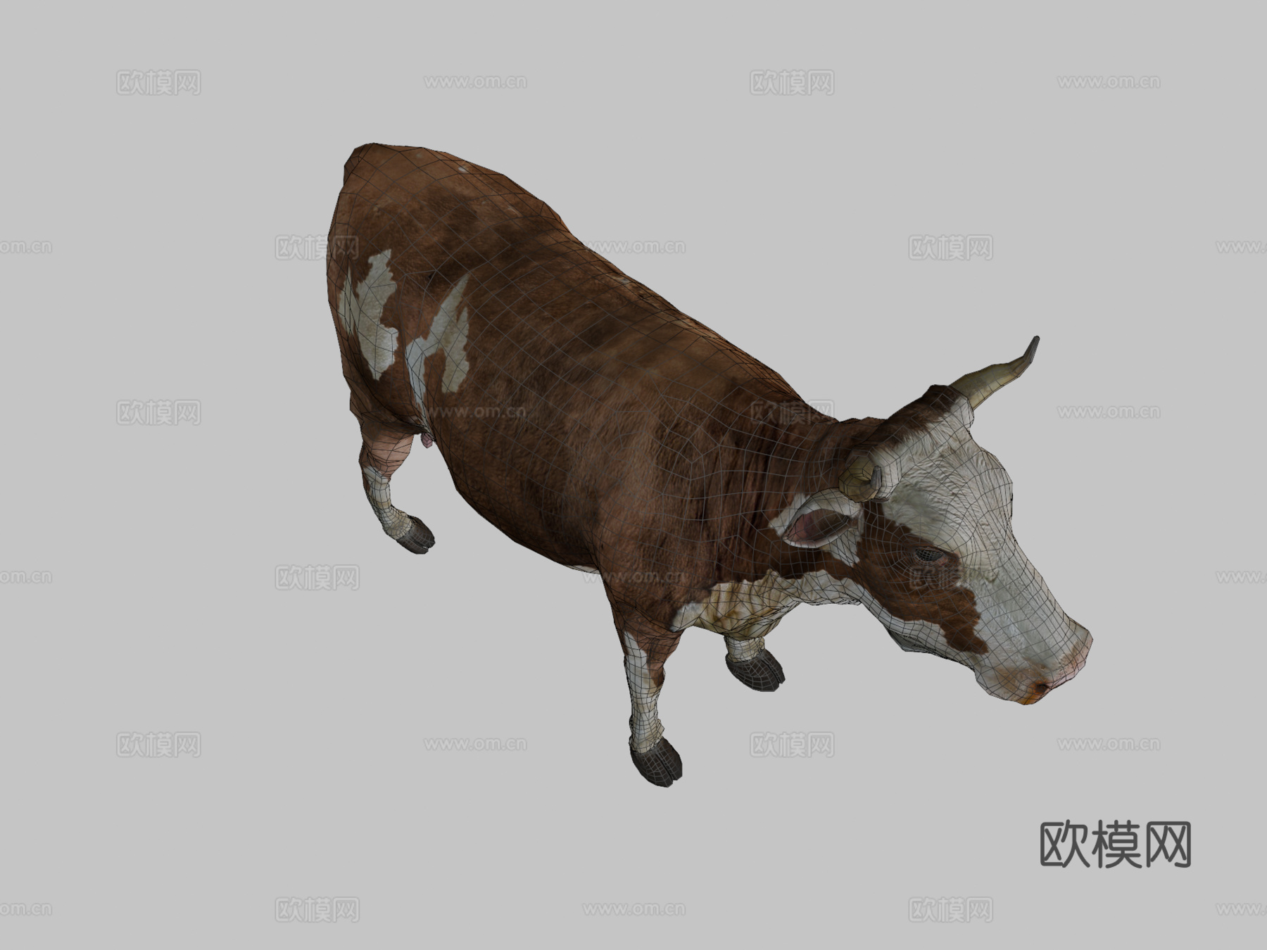 牛-公牛3d模型