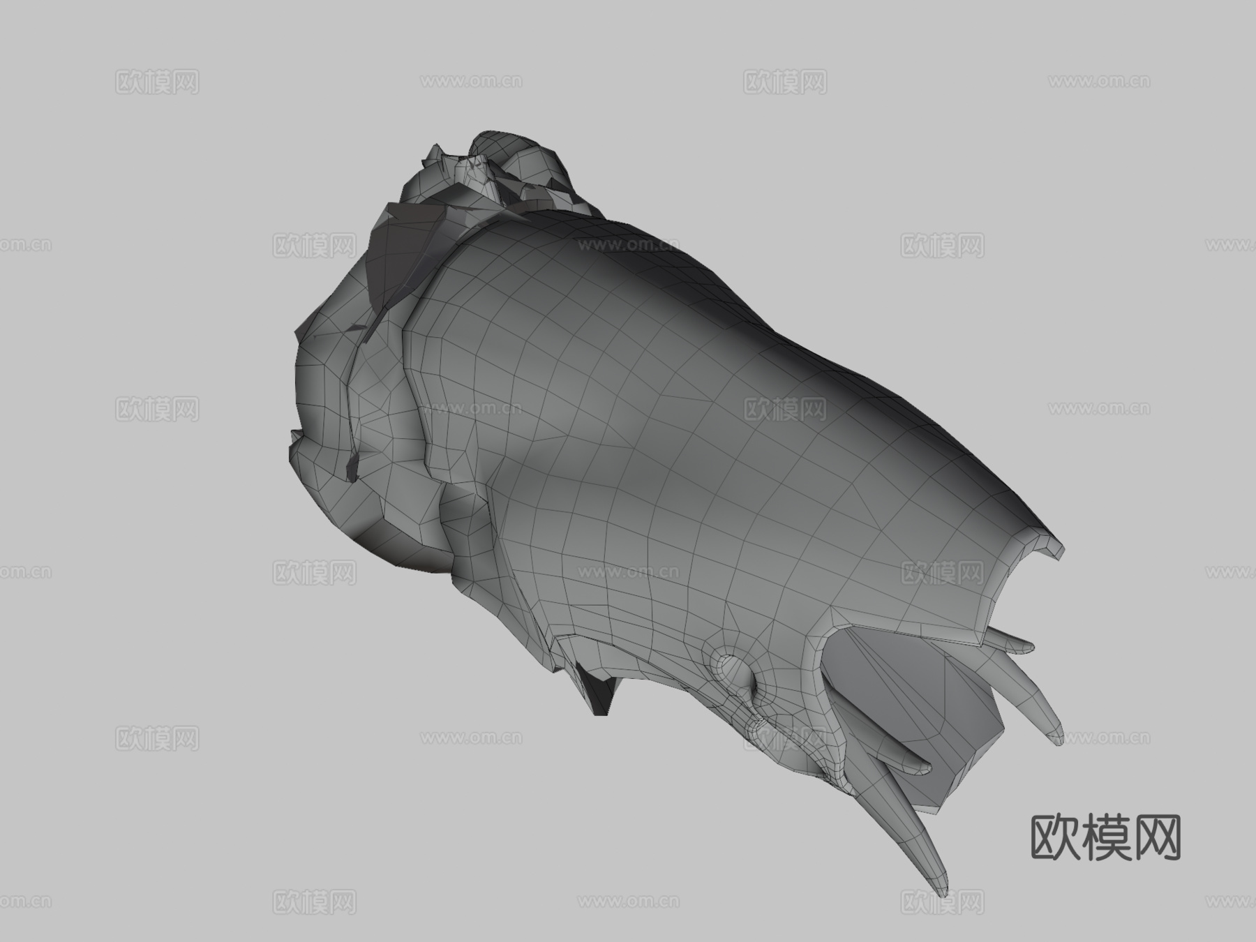 螯肢动物3d模型