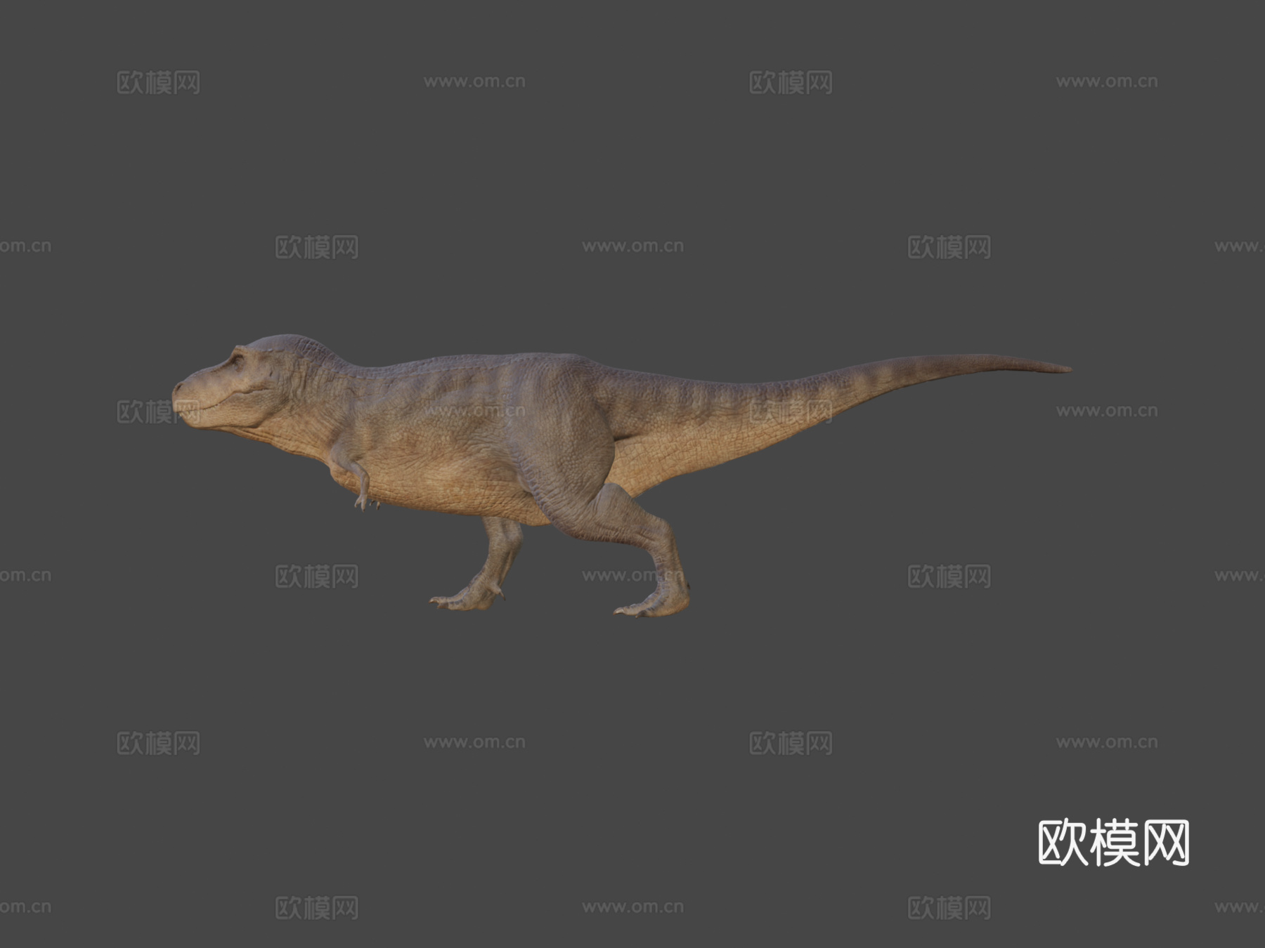 霸王龙3d模型