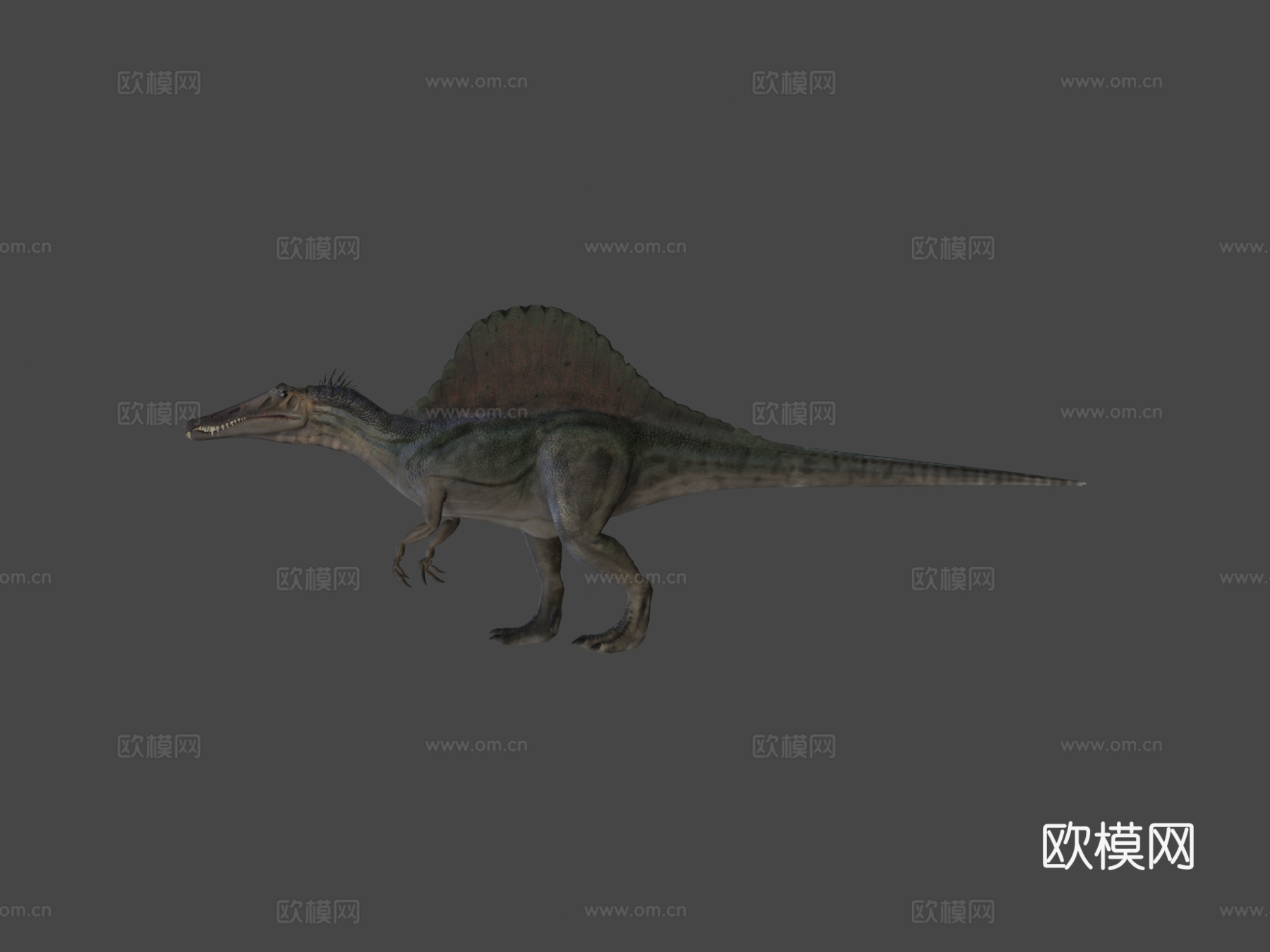 棘龙低多边形3d模型