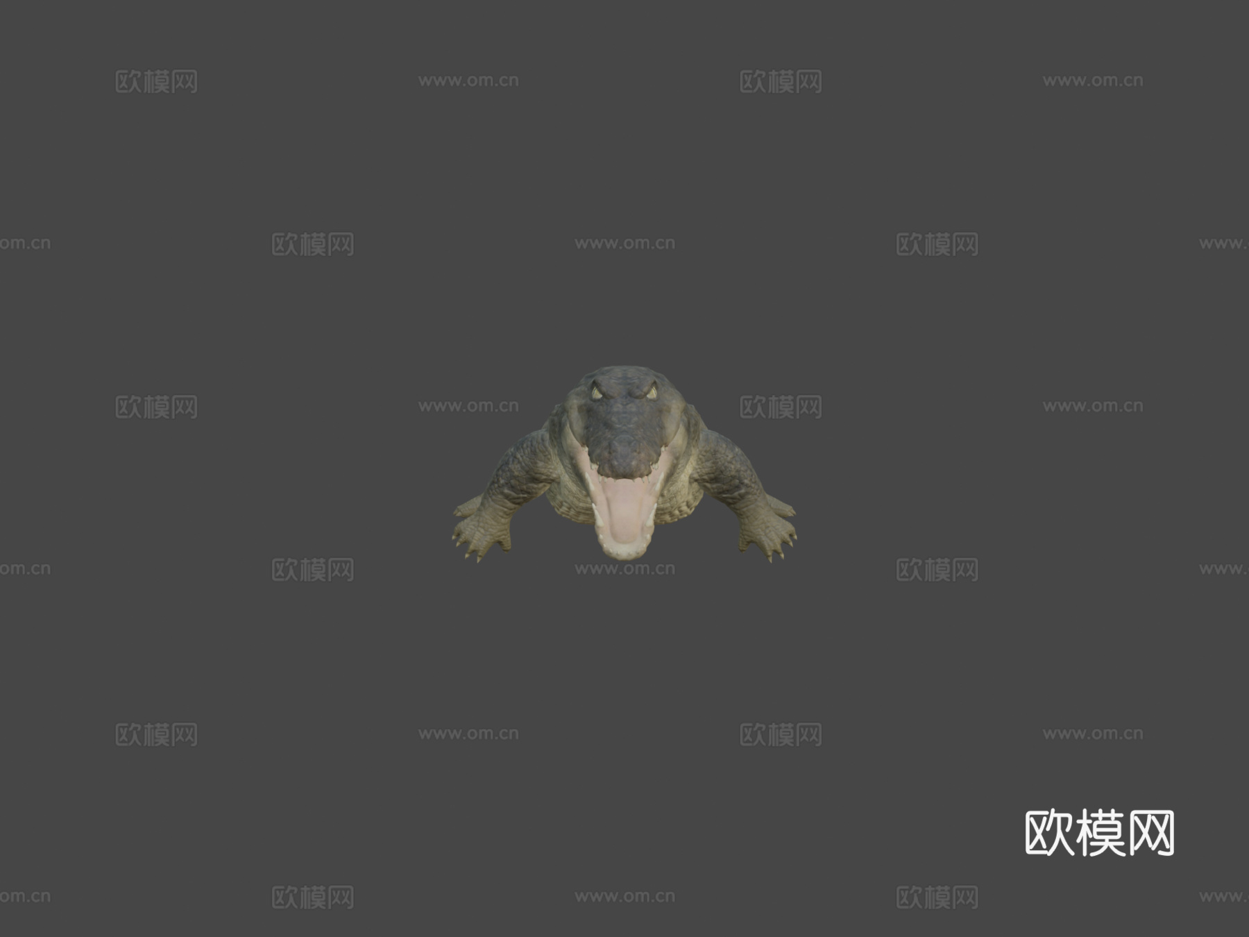 鳄鱼动画3d模型