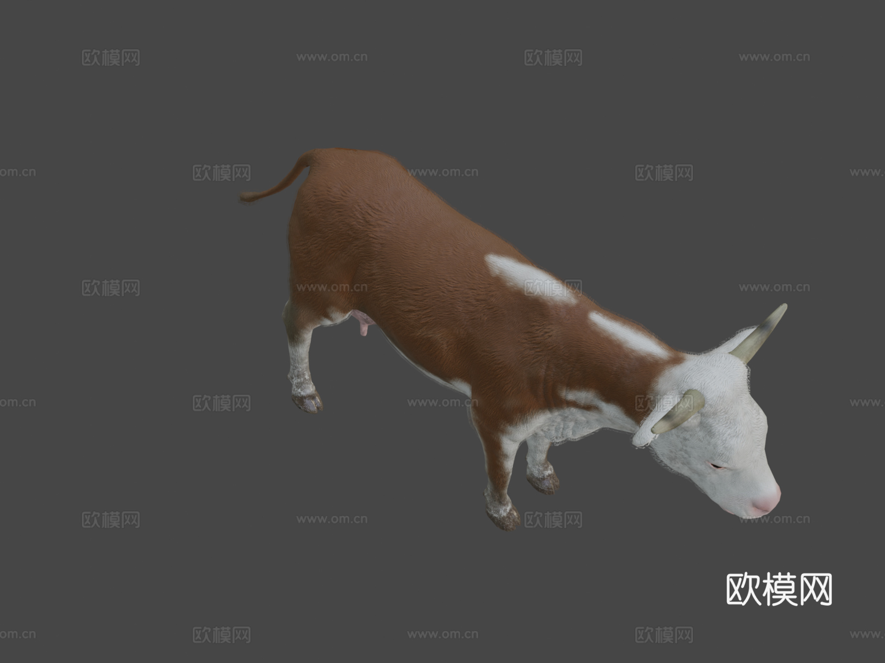 奶牛动画3d模型