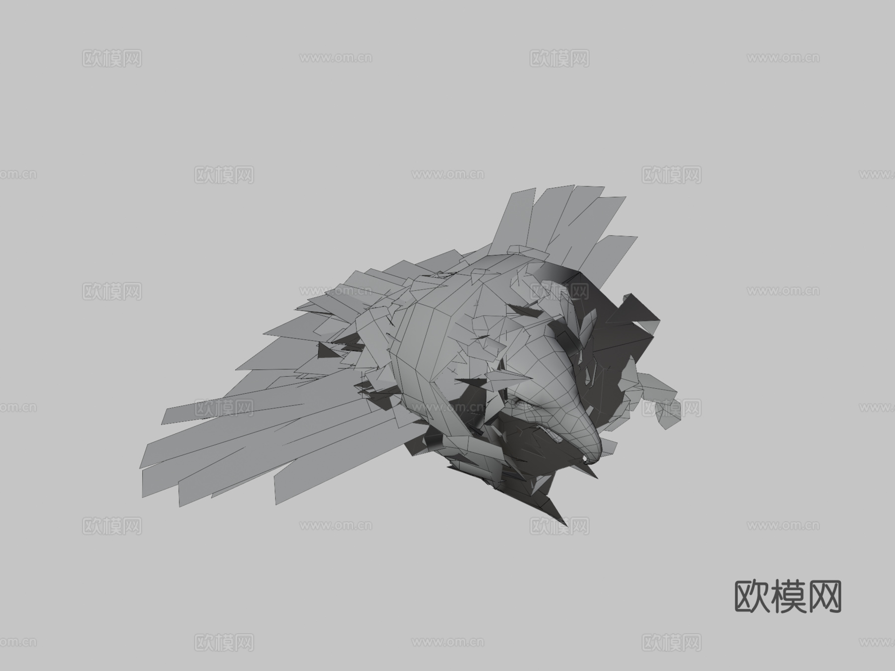 动物界-白头海雕与金雕3d模型