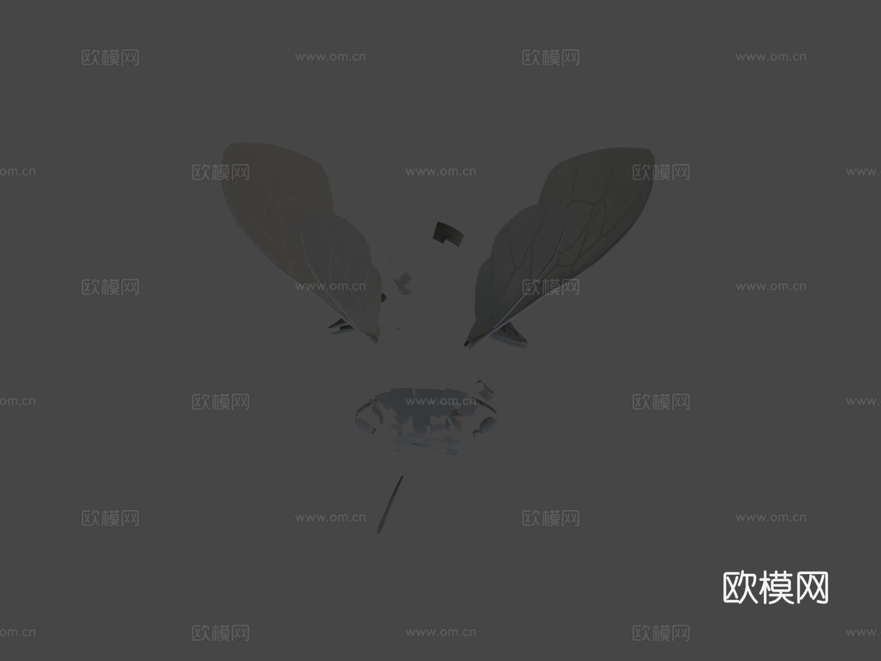 蜜蜂3d模型