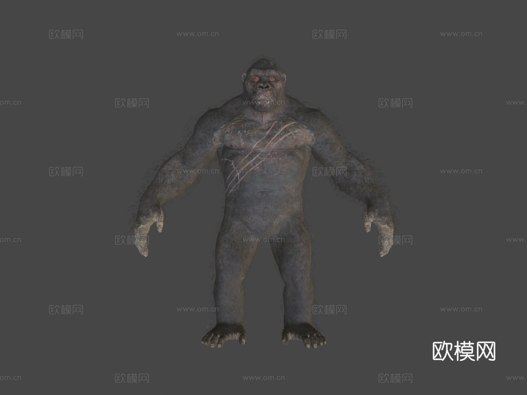 使命召唤战区金刚3d模型