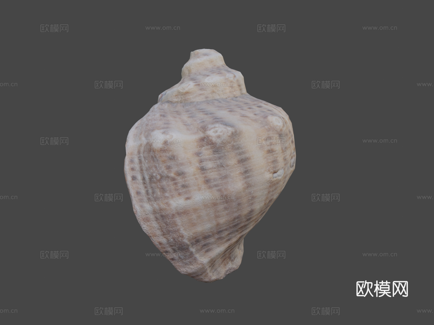 贝壳-PBR游戏道具3d模型