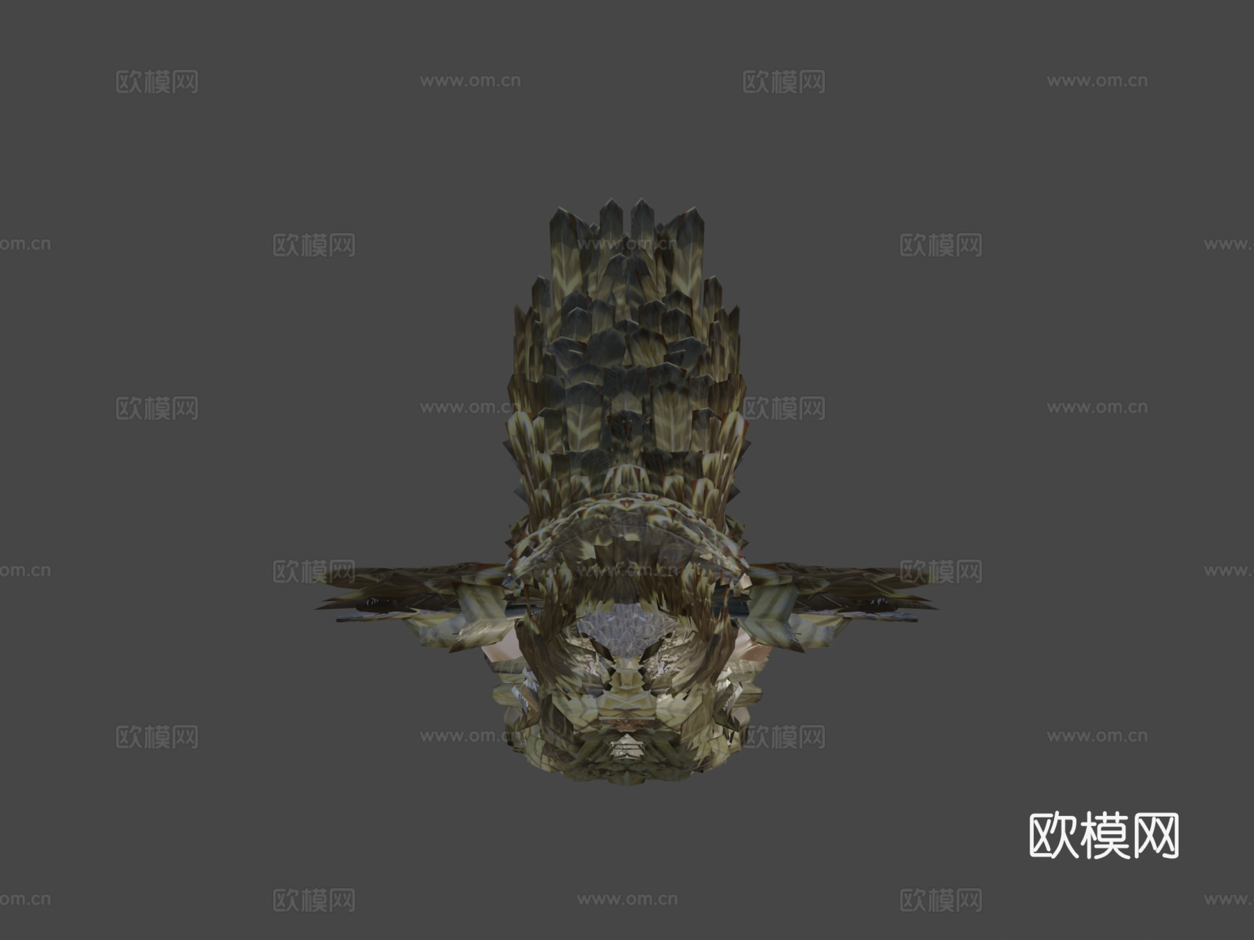 褐隼3d模型