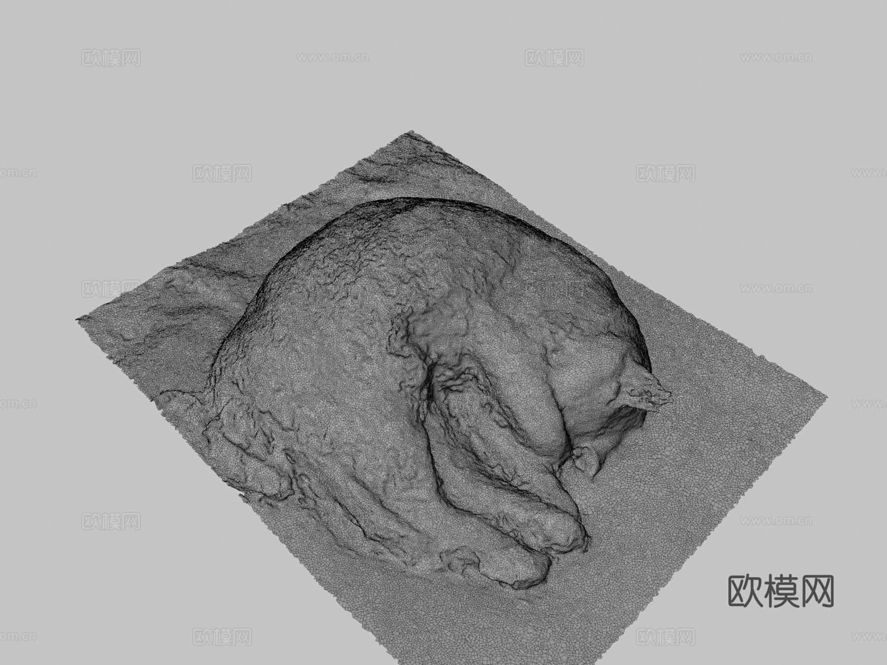 我的另一只猫3d模型