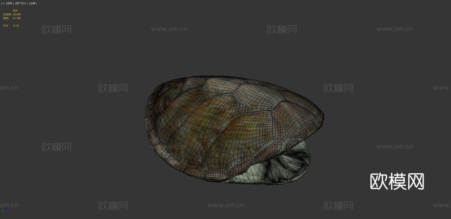 绿海龟♀3d模型