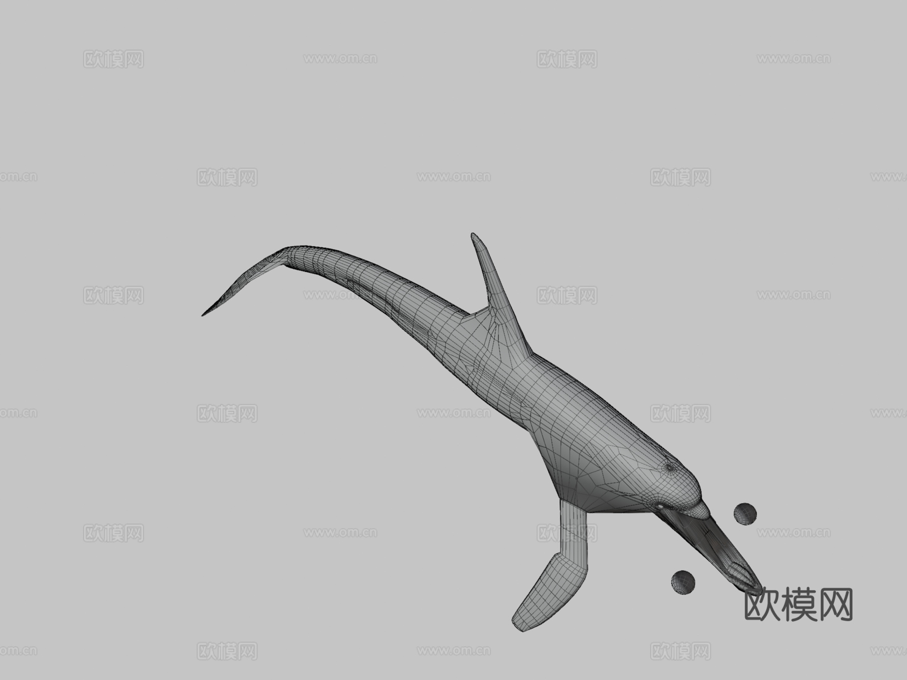 虎鲸3d模型