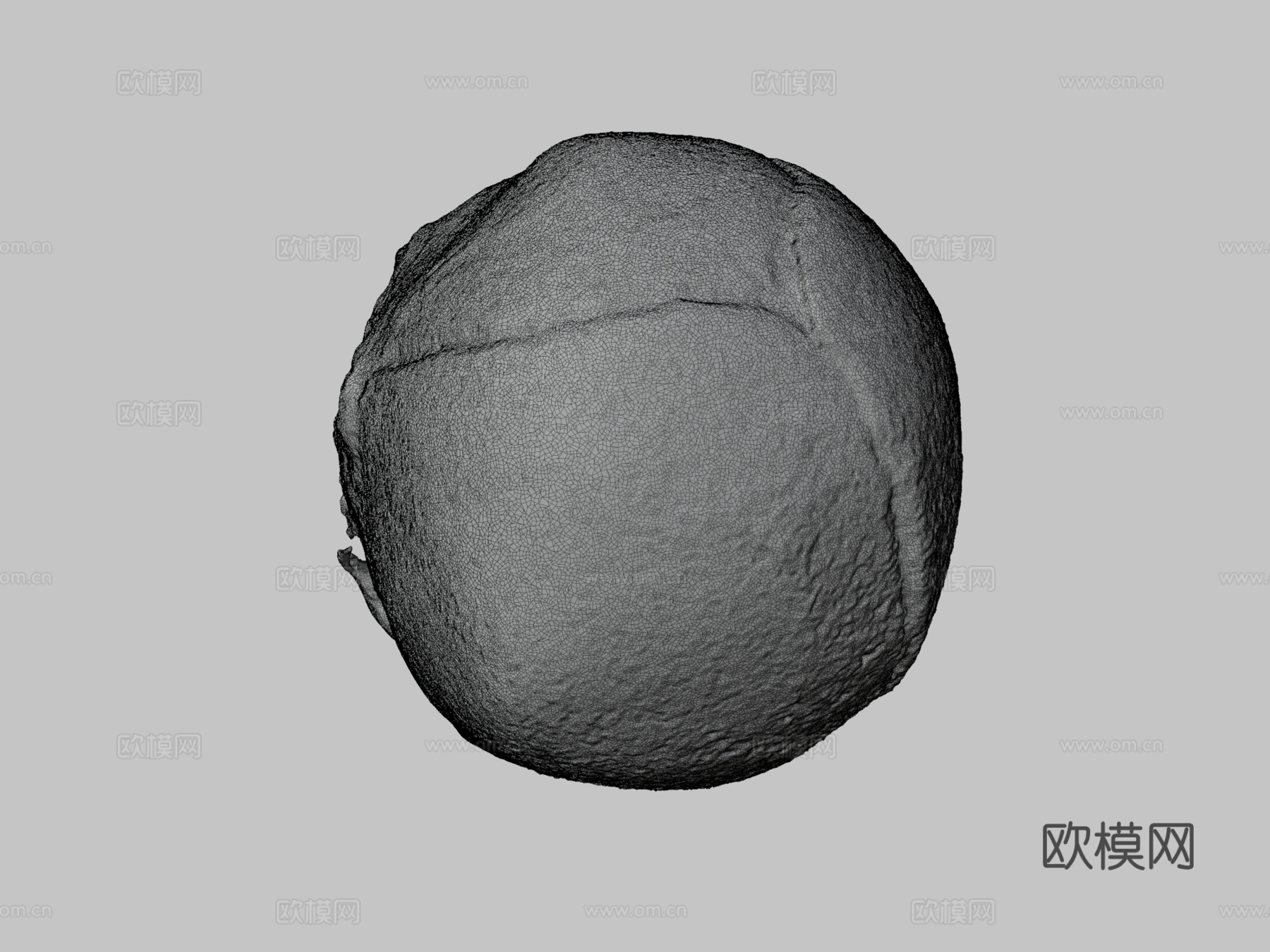 人类胎儿头骨3d模型