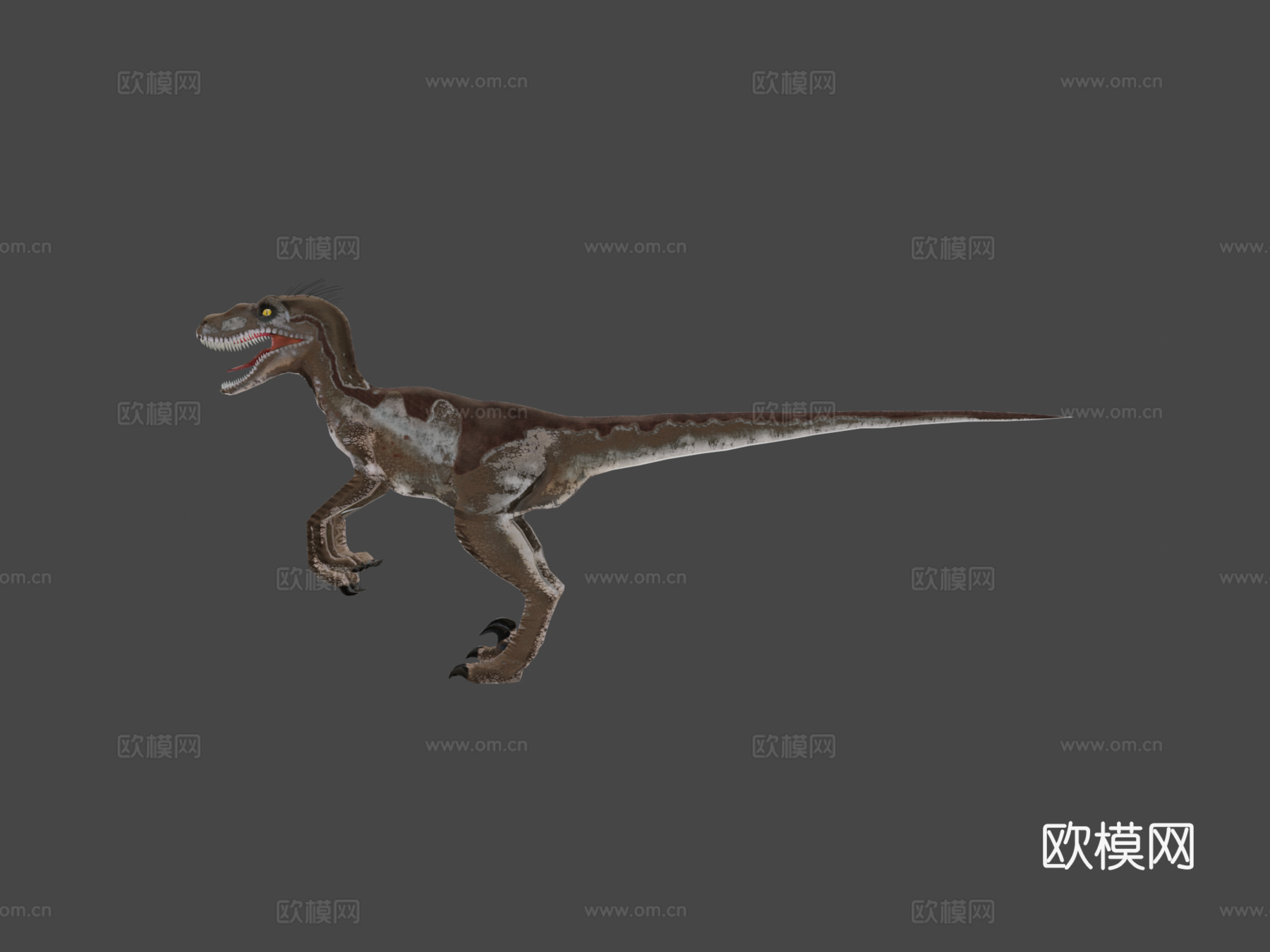 迅猛龙[极低多边形]3d模型