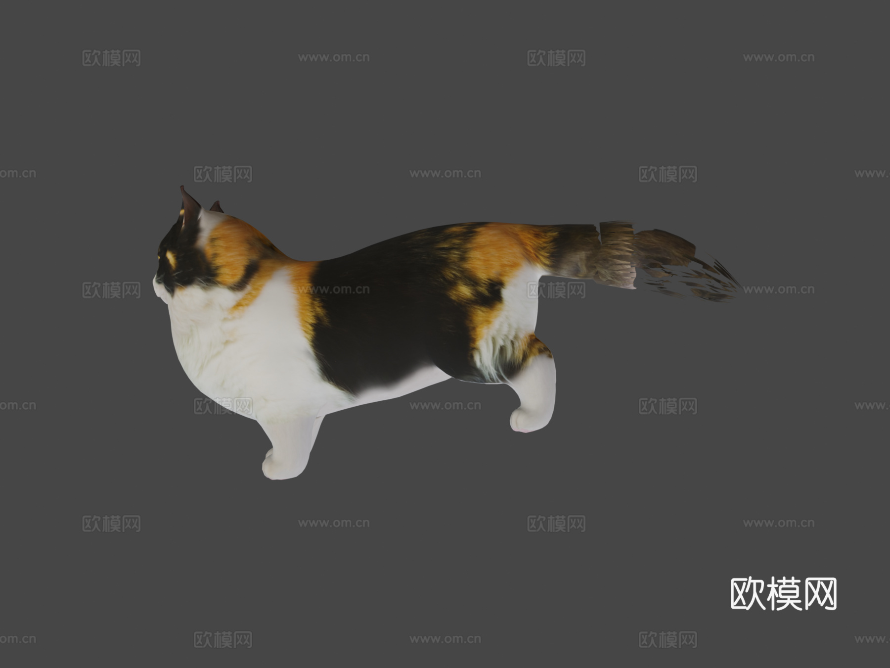 曼基康猫3d模型