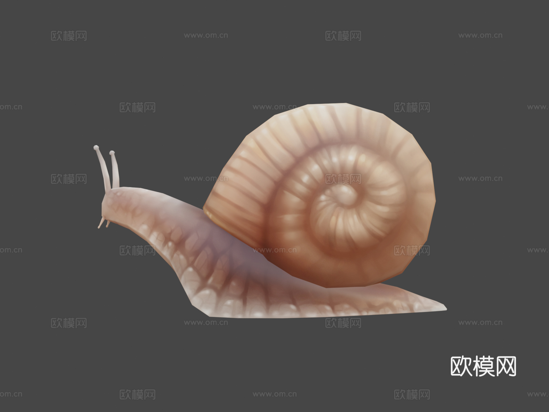 蜗牛3d模型