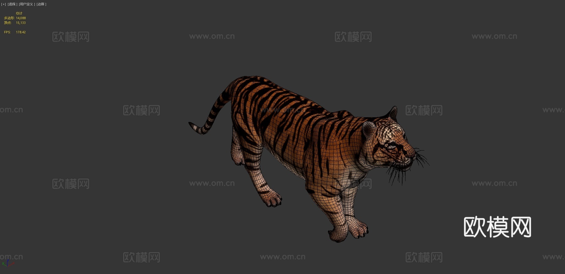 老虎3d模型