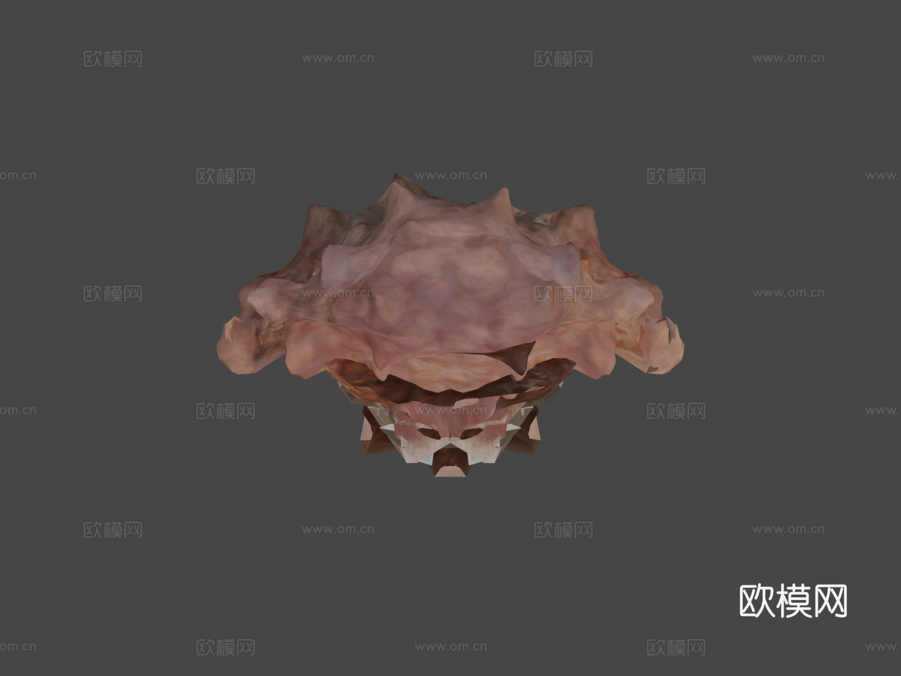 巨型太平洋章鱼3d模型