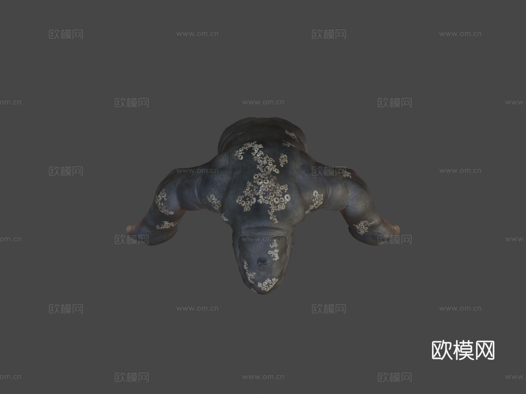 乌尔萨塞图斯动画3d模型