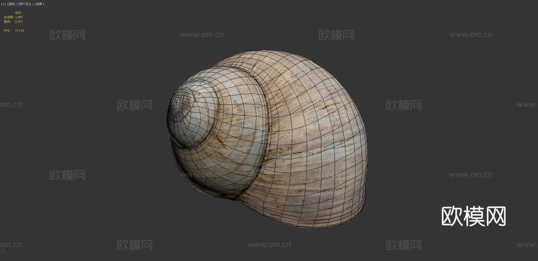 蜗牛壳3d模型