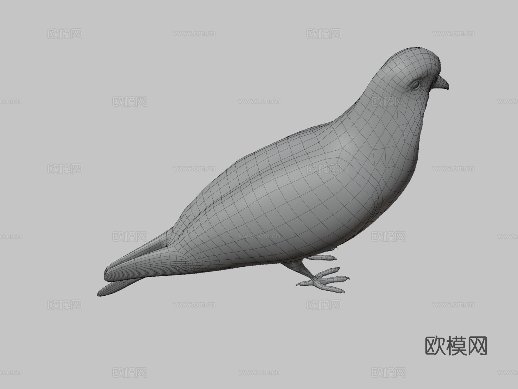 鸽子1号3d模型
