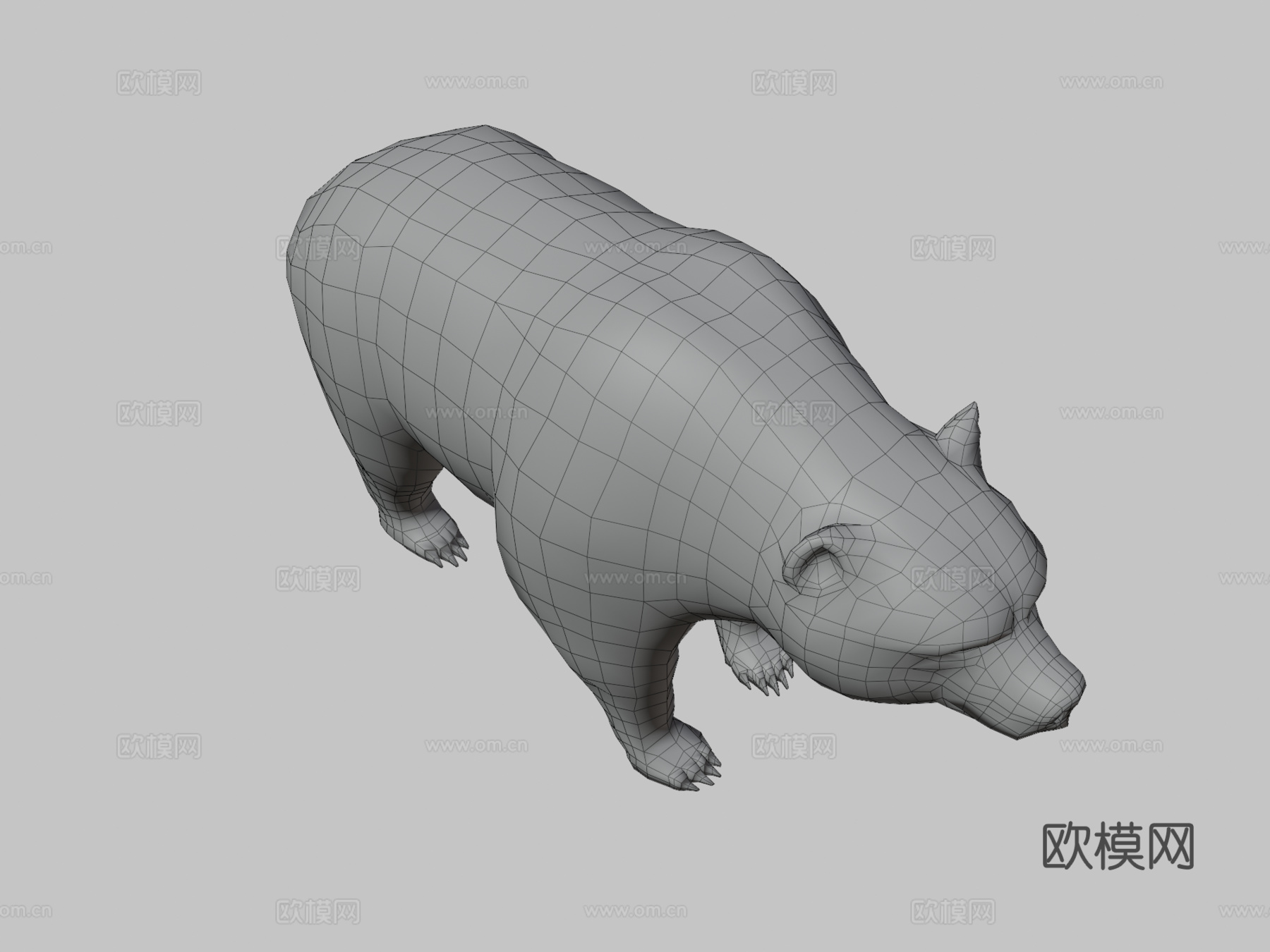 熊13d模型