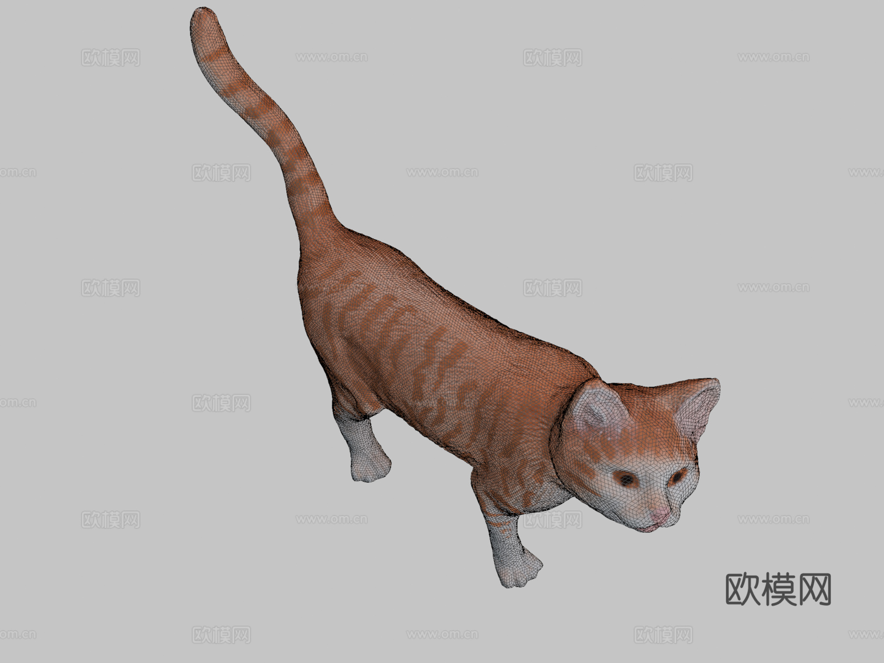 微型猫3d模型