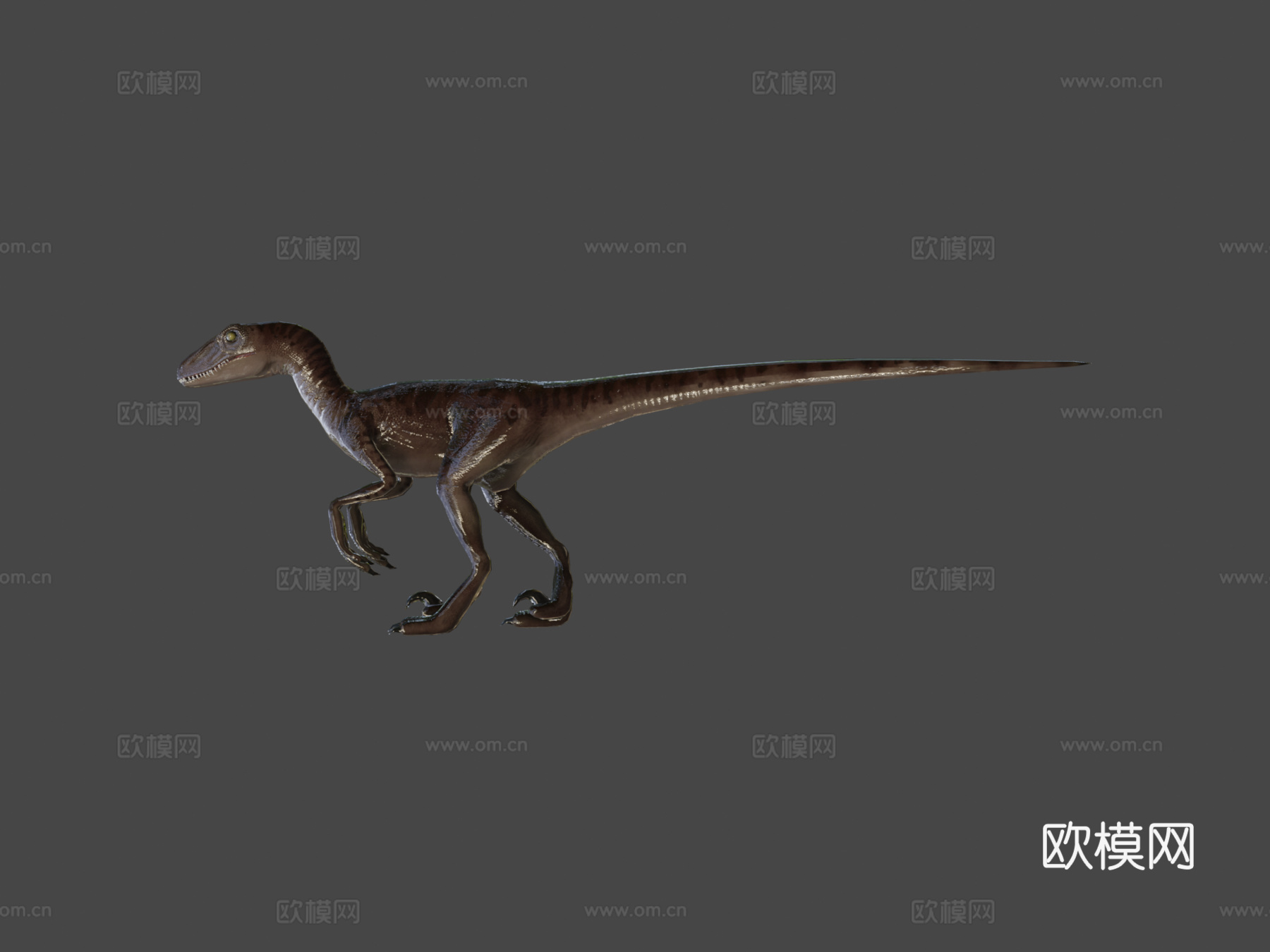 伶盗龙低多边形3d模型