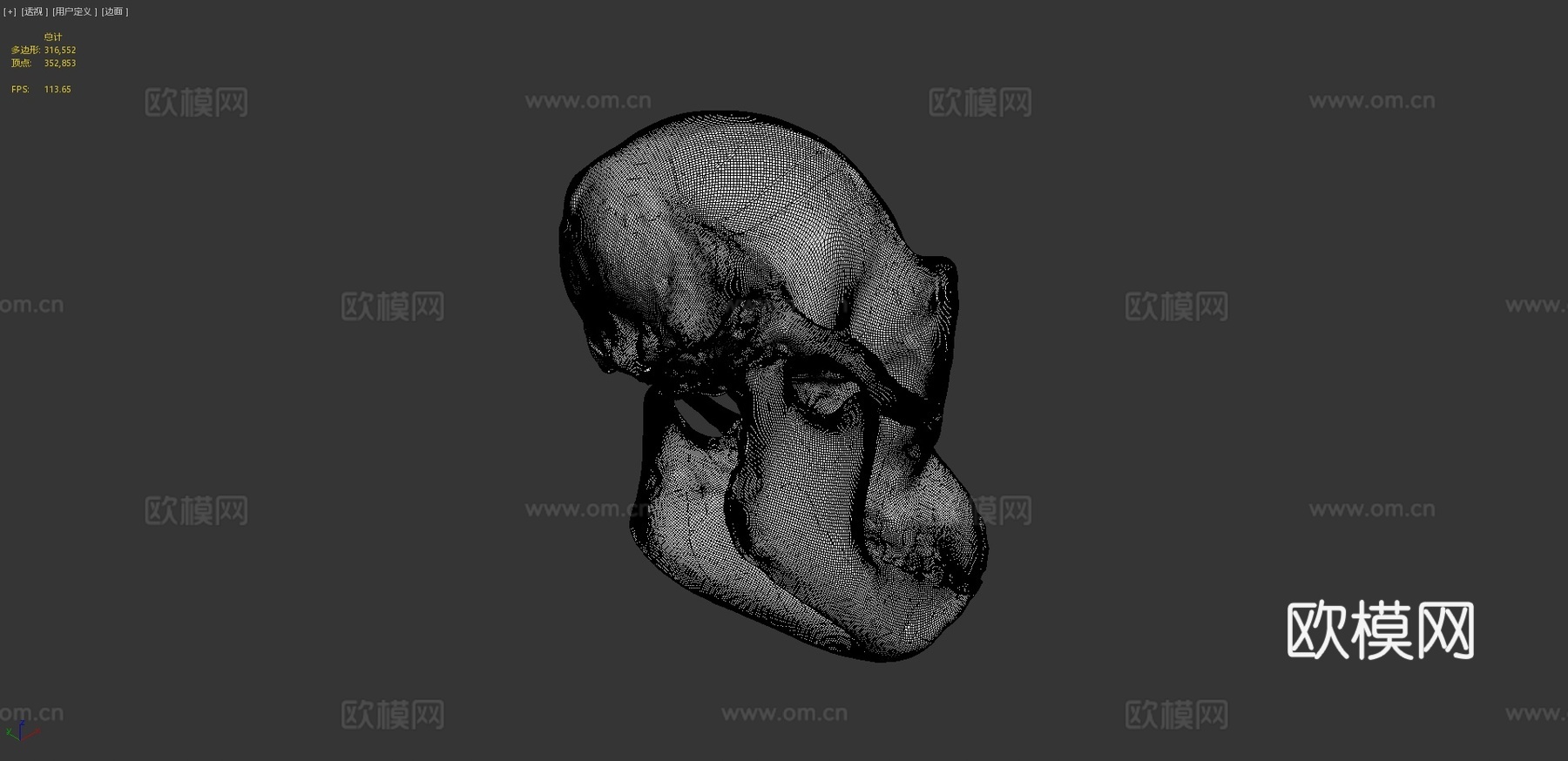 黑猩猩头骨3d模型