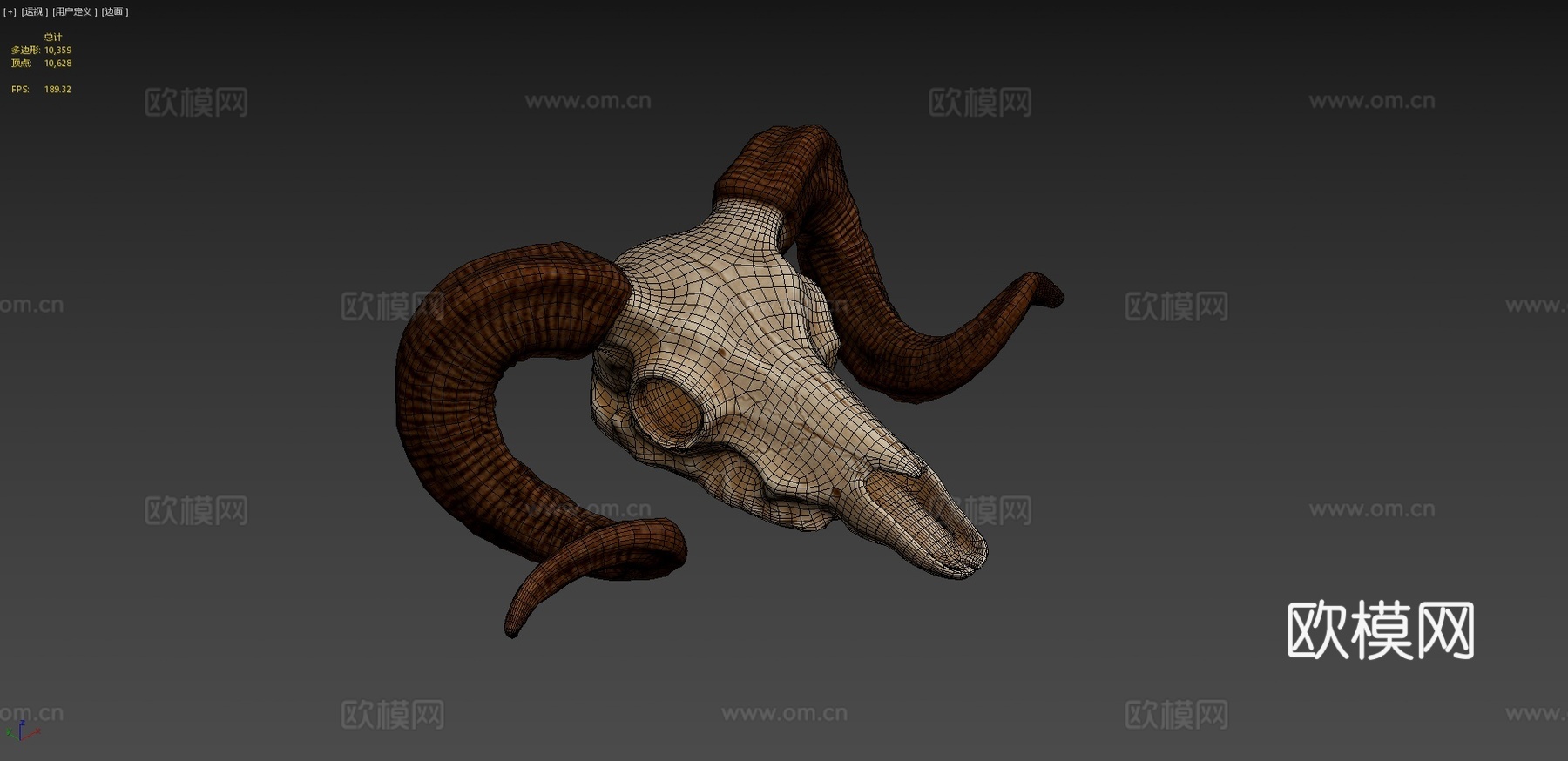 大角羊头骨3d模型