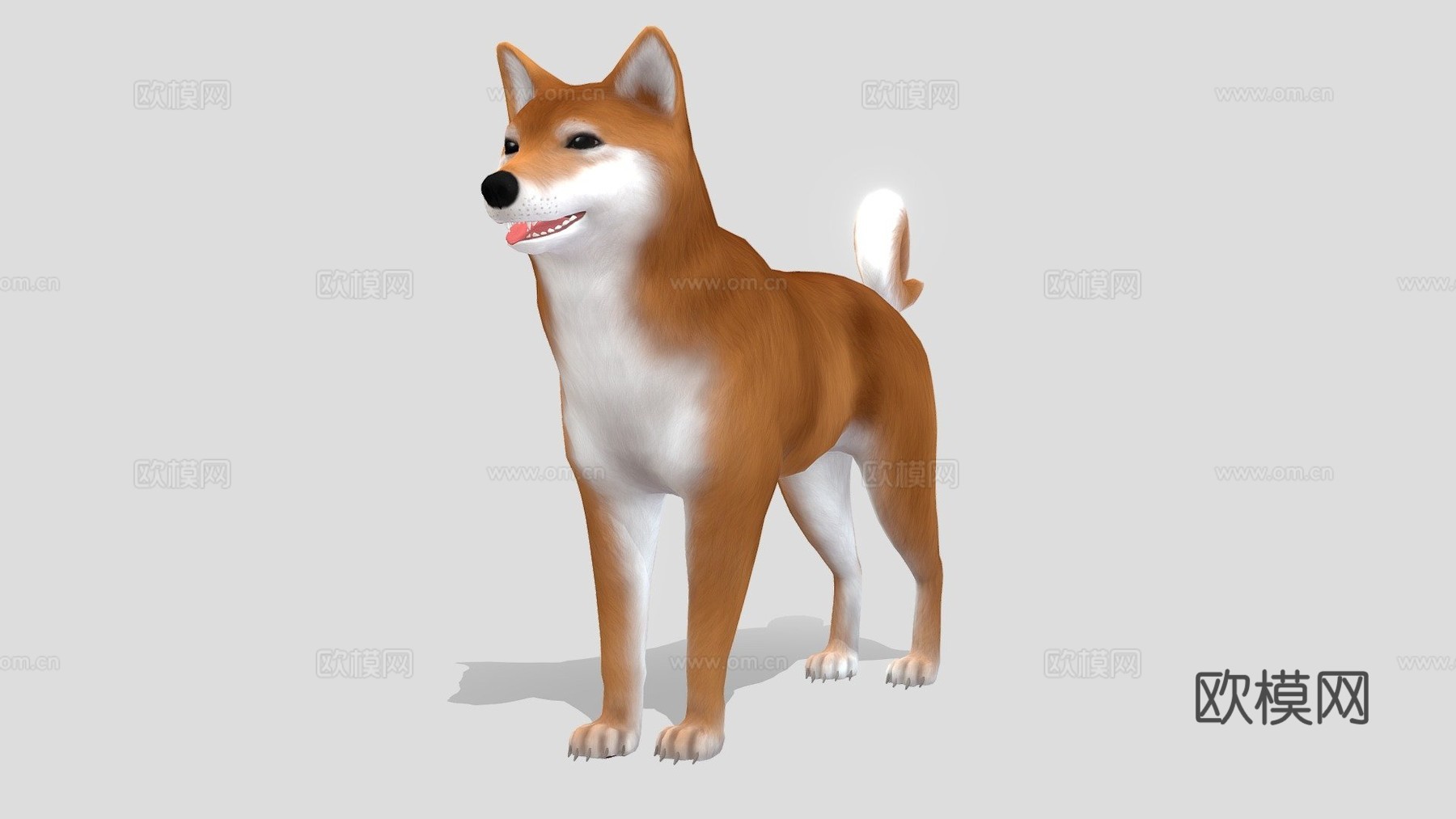 柴犬3d模型