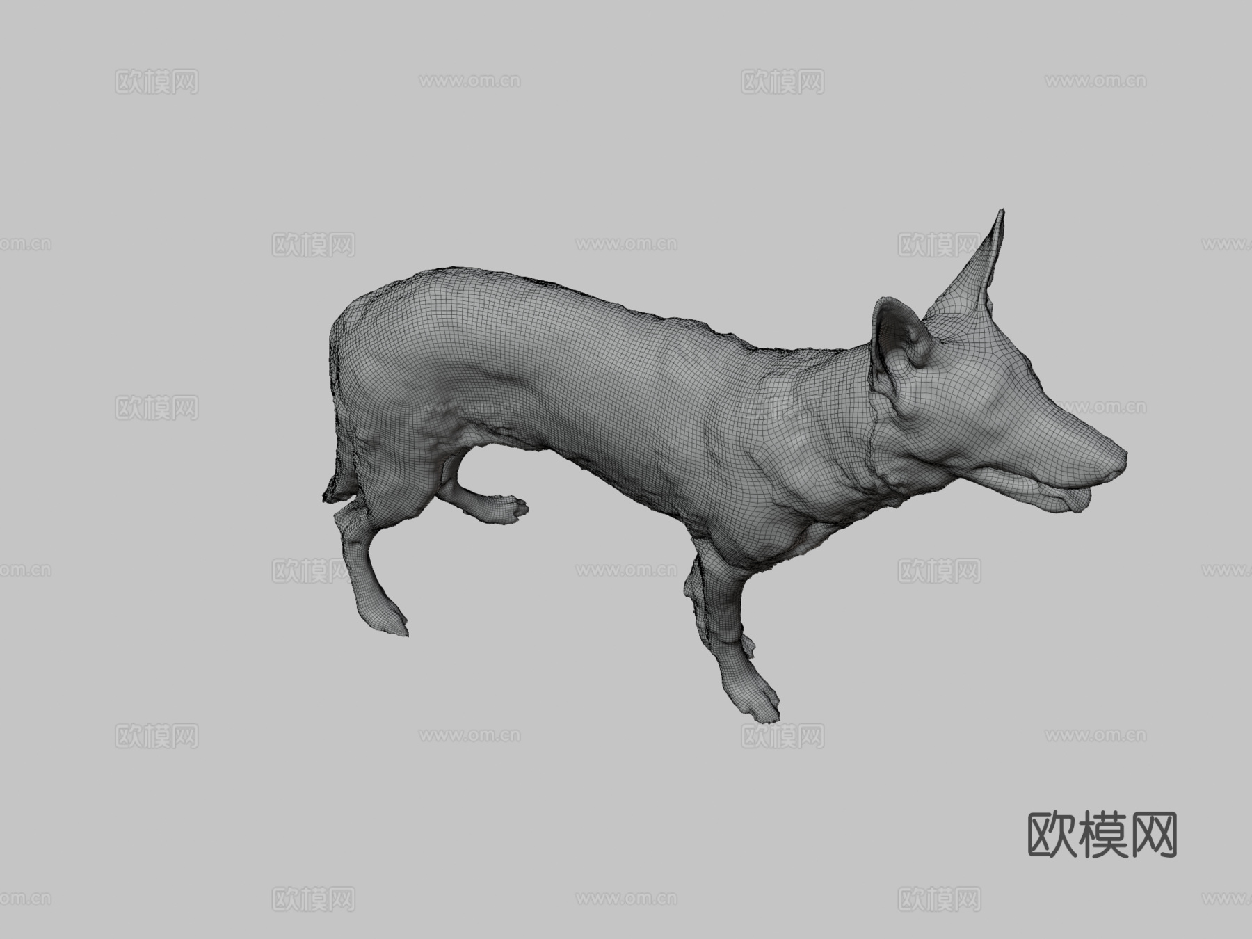 CD_德国牧羊犬幼犬扫描3d模型