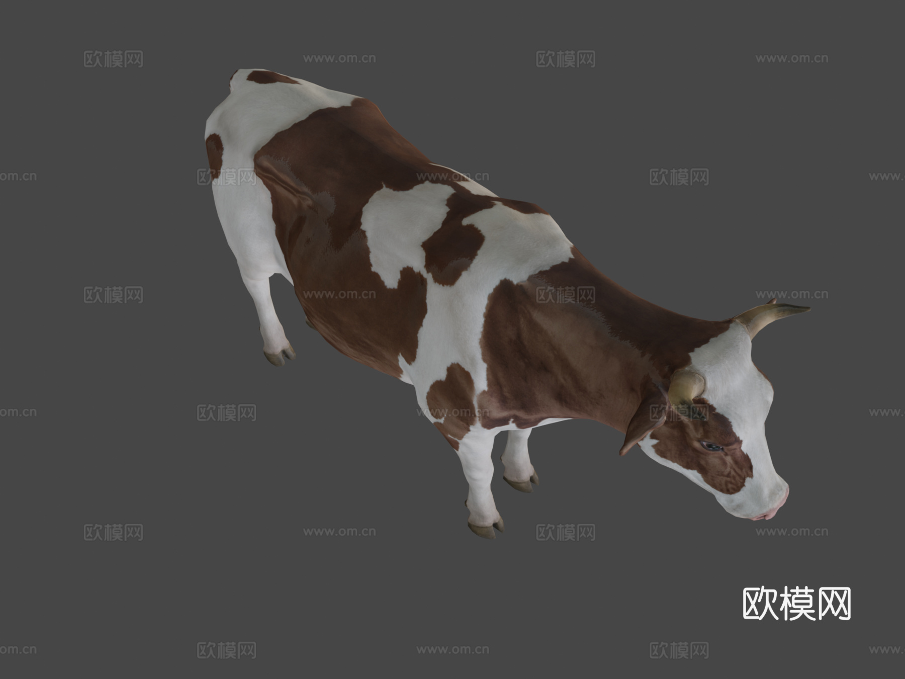 牛动画3d模型