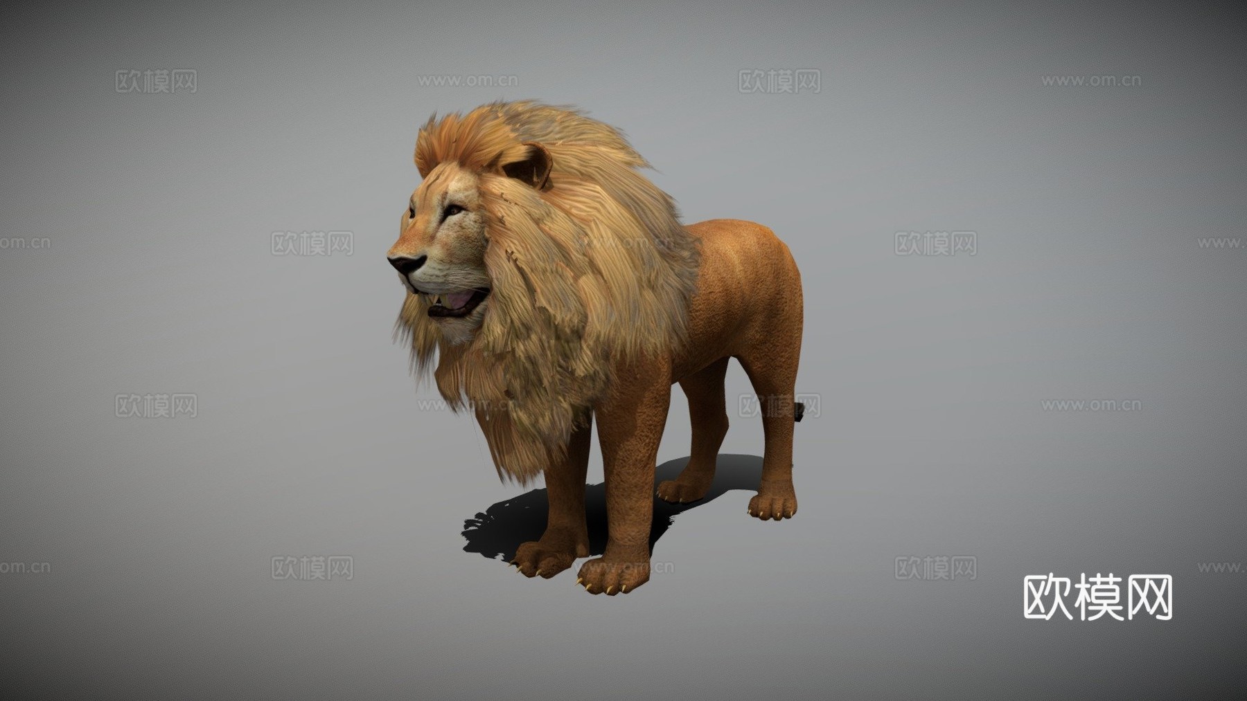 带动画狮子3d模型