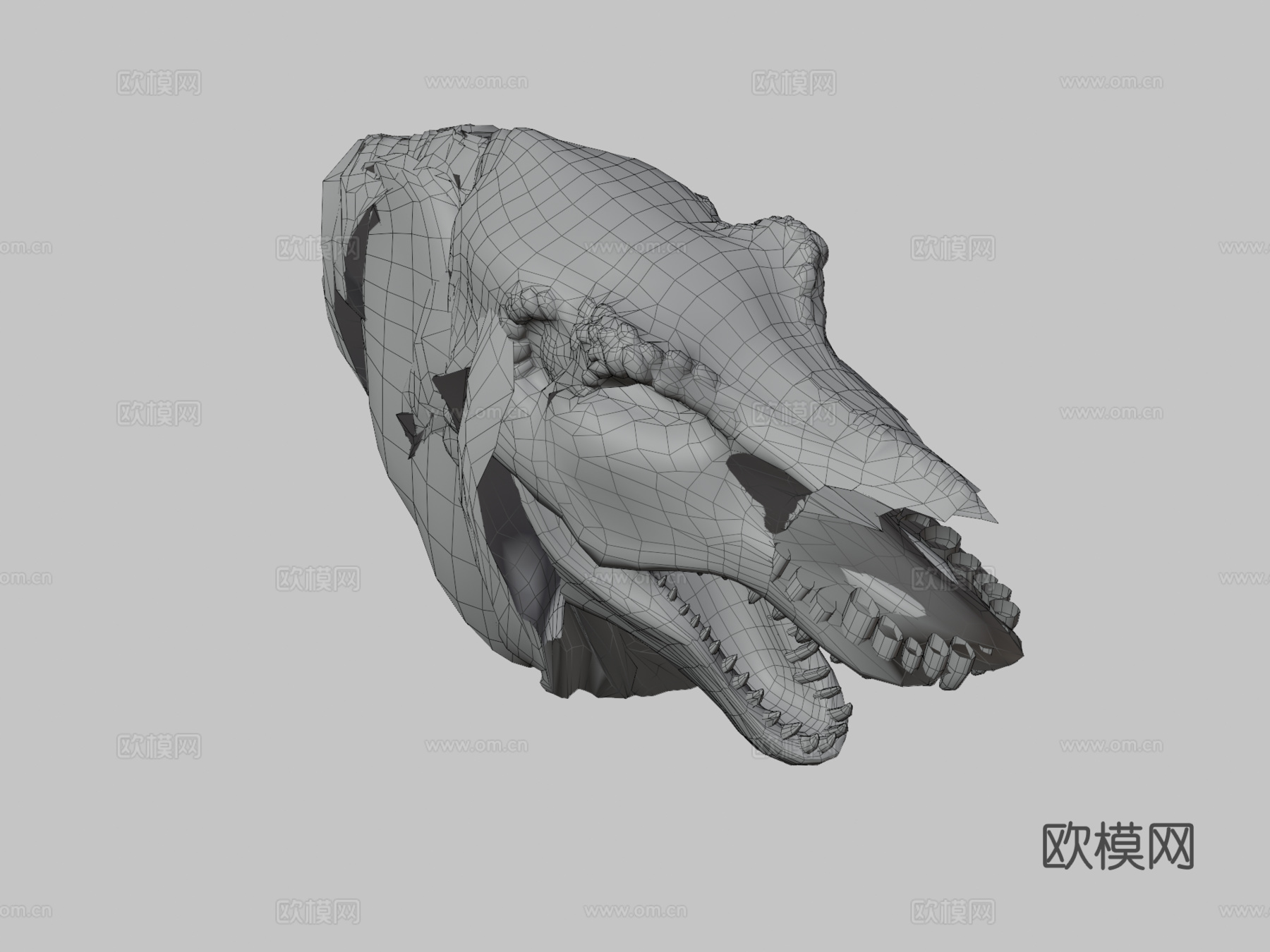 霸王龙3d模型