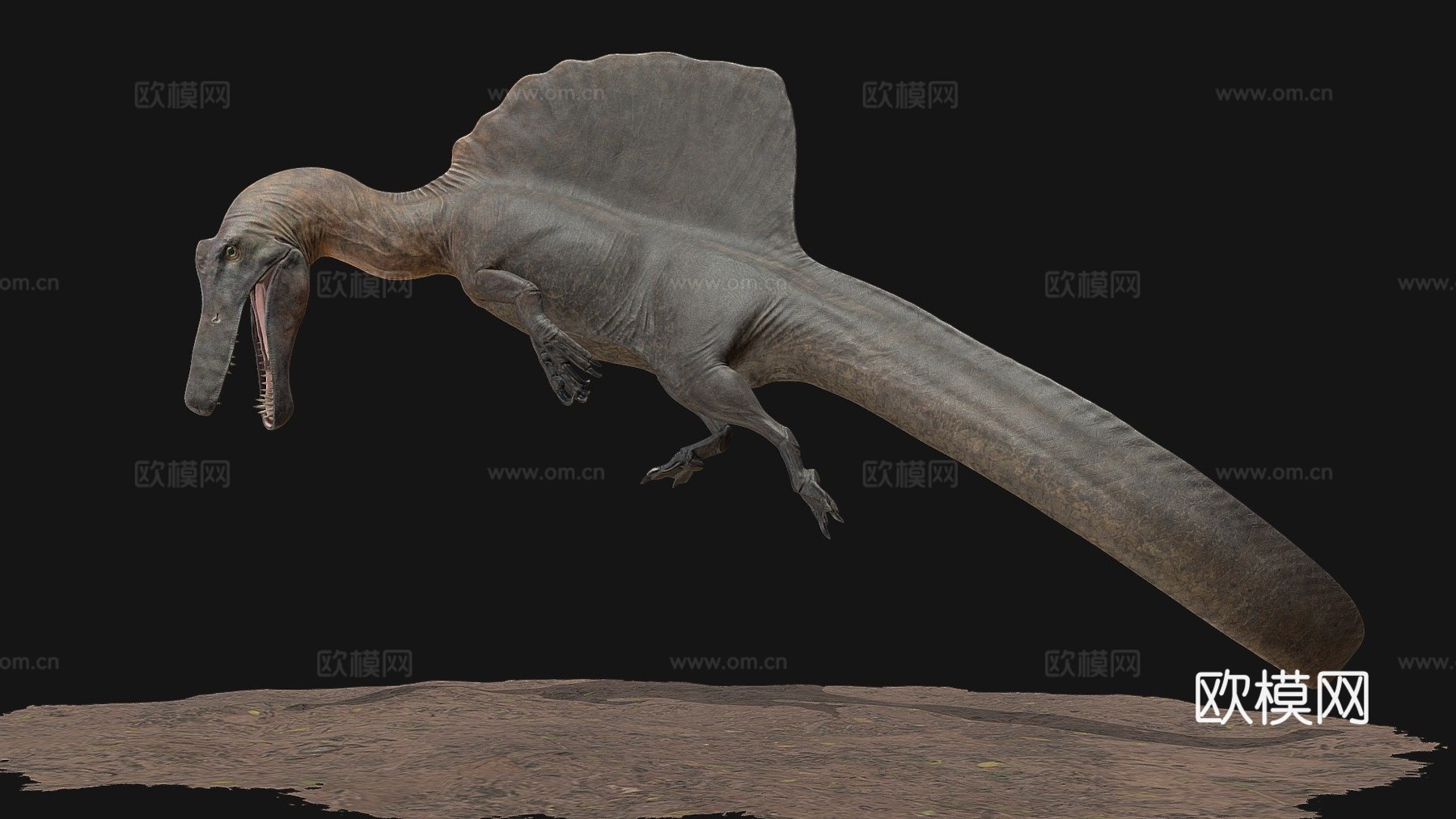 游泳棘龙3d模型
