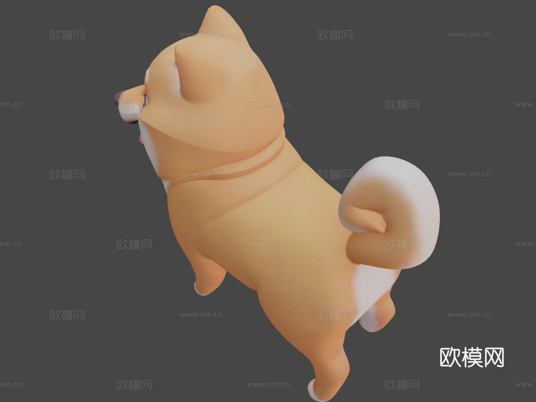 超棒柴犬男孩3d模型