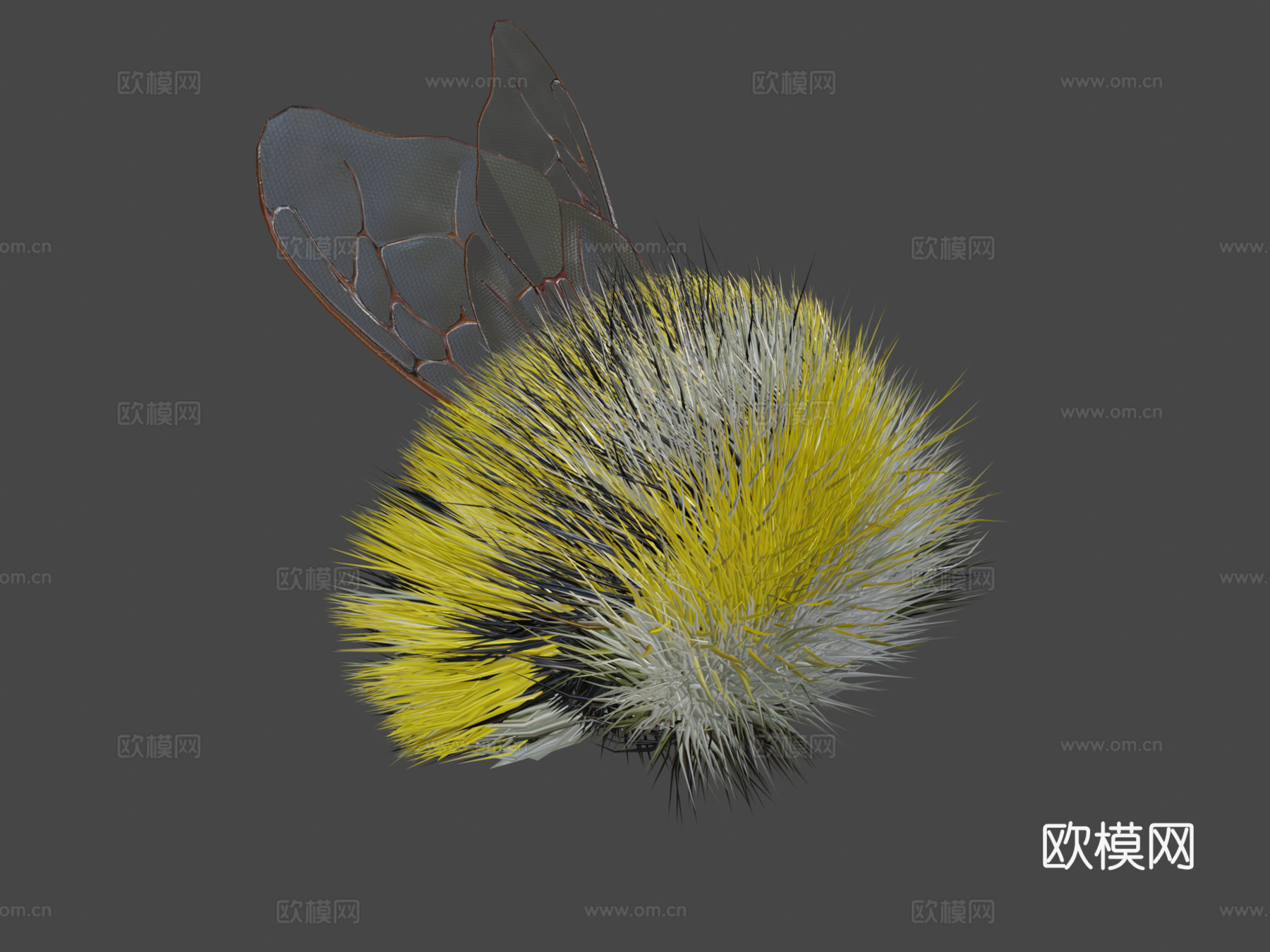 大黄蜂绑定PBR3d模型