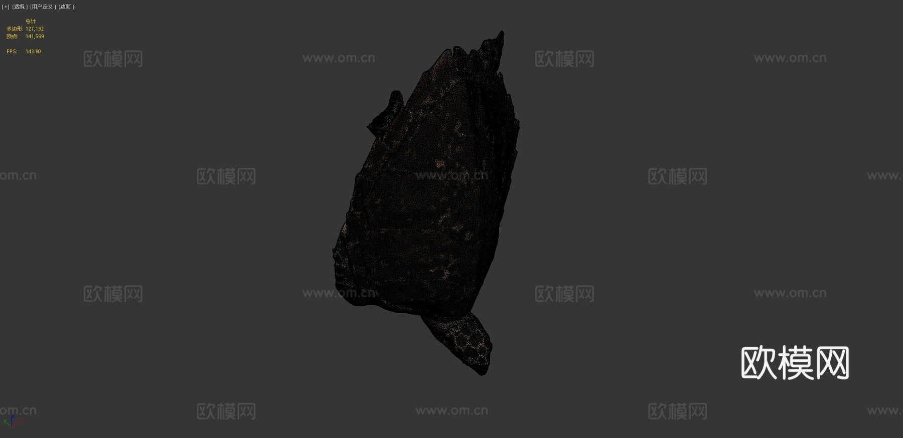 玳瑁海龟3d模型