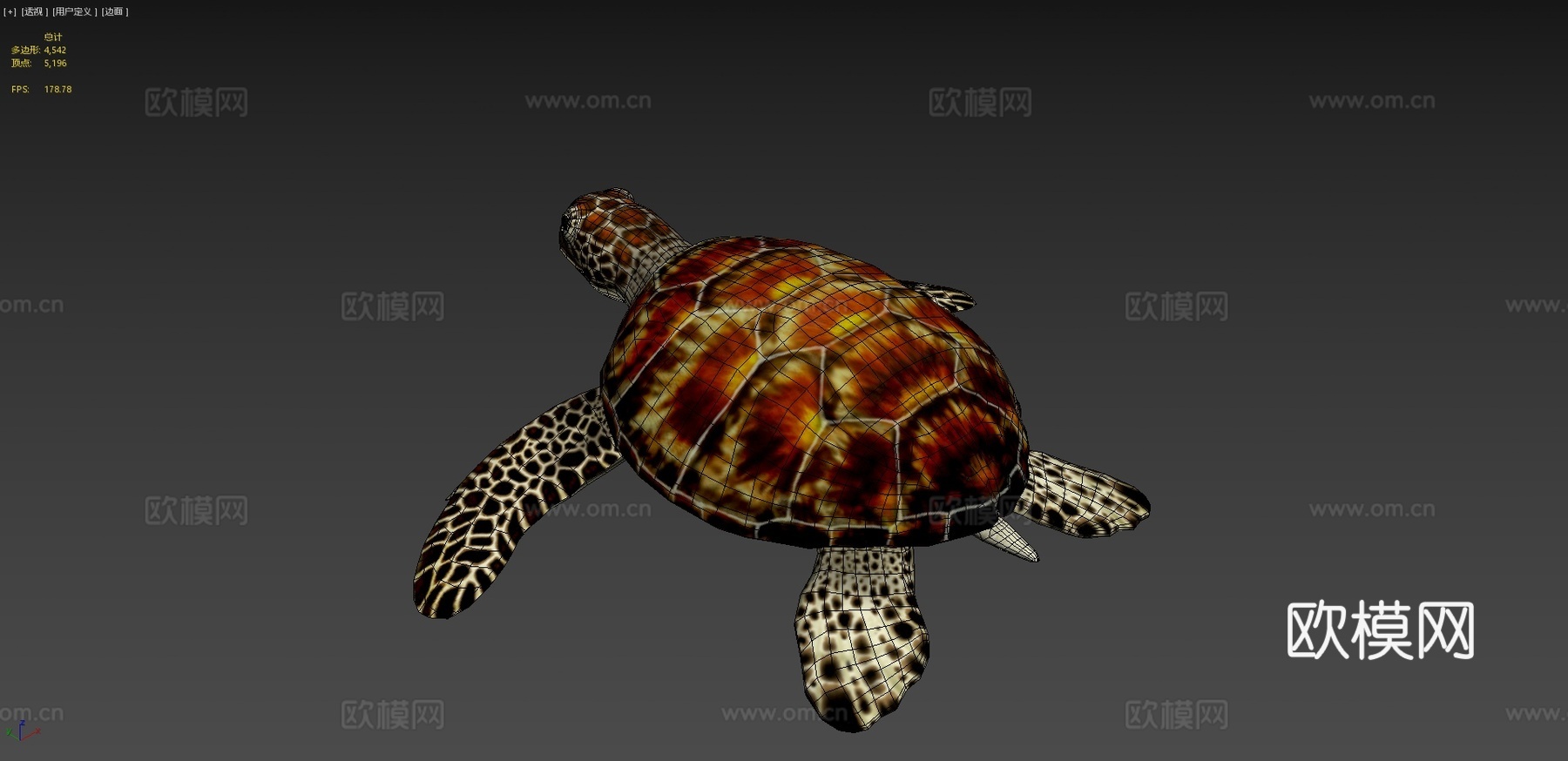 绿海龟3d模型