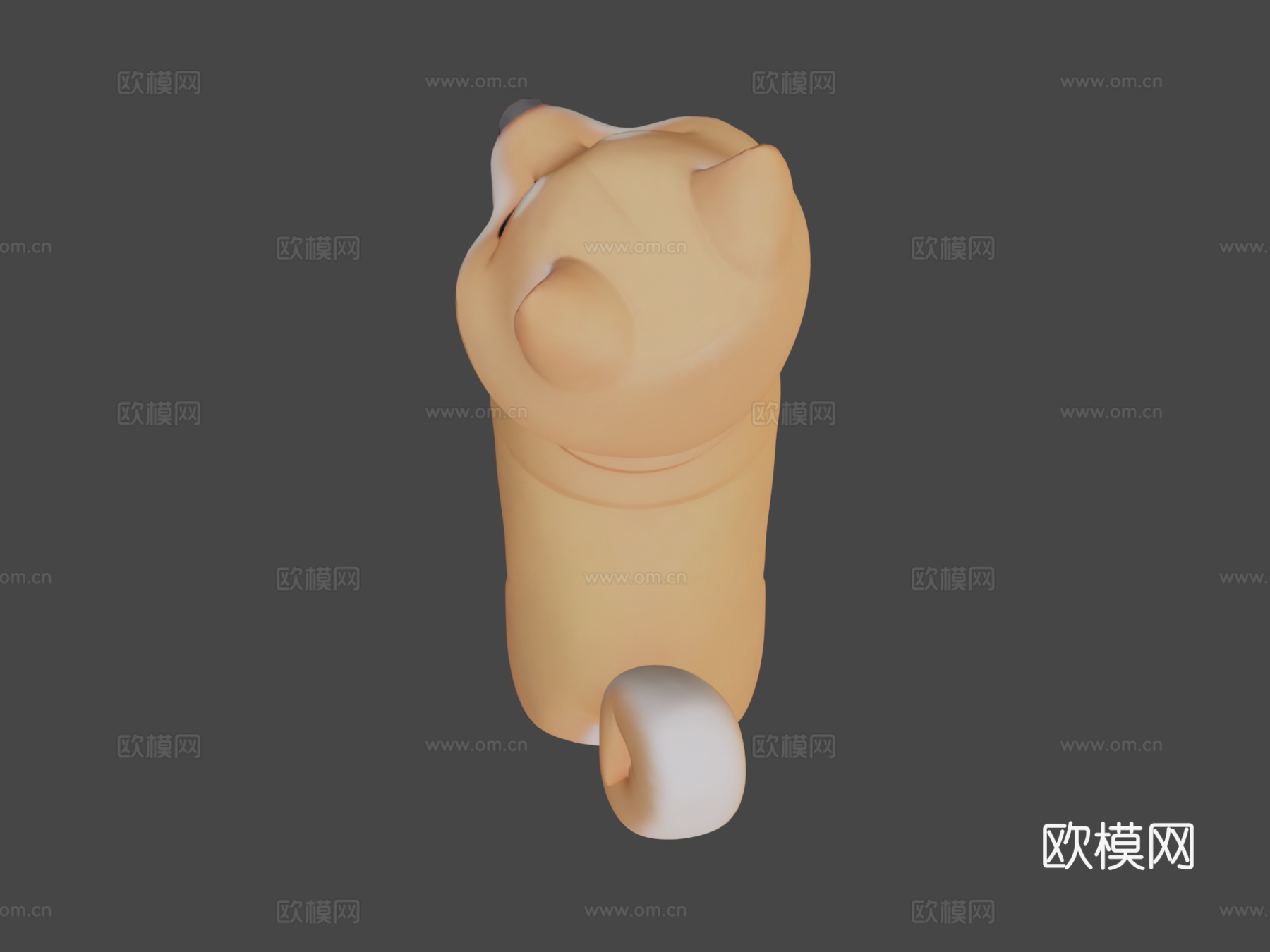 超棒柴犬男孩3d模型