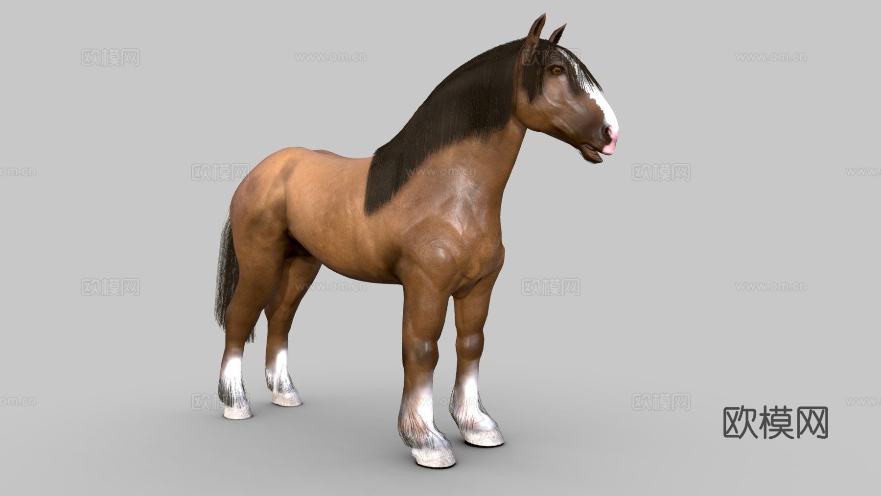 马[役马]3d模型