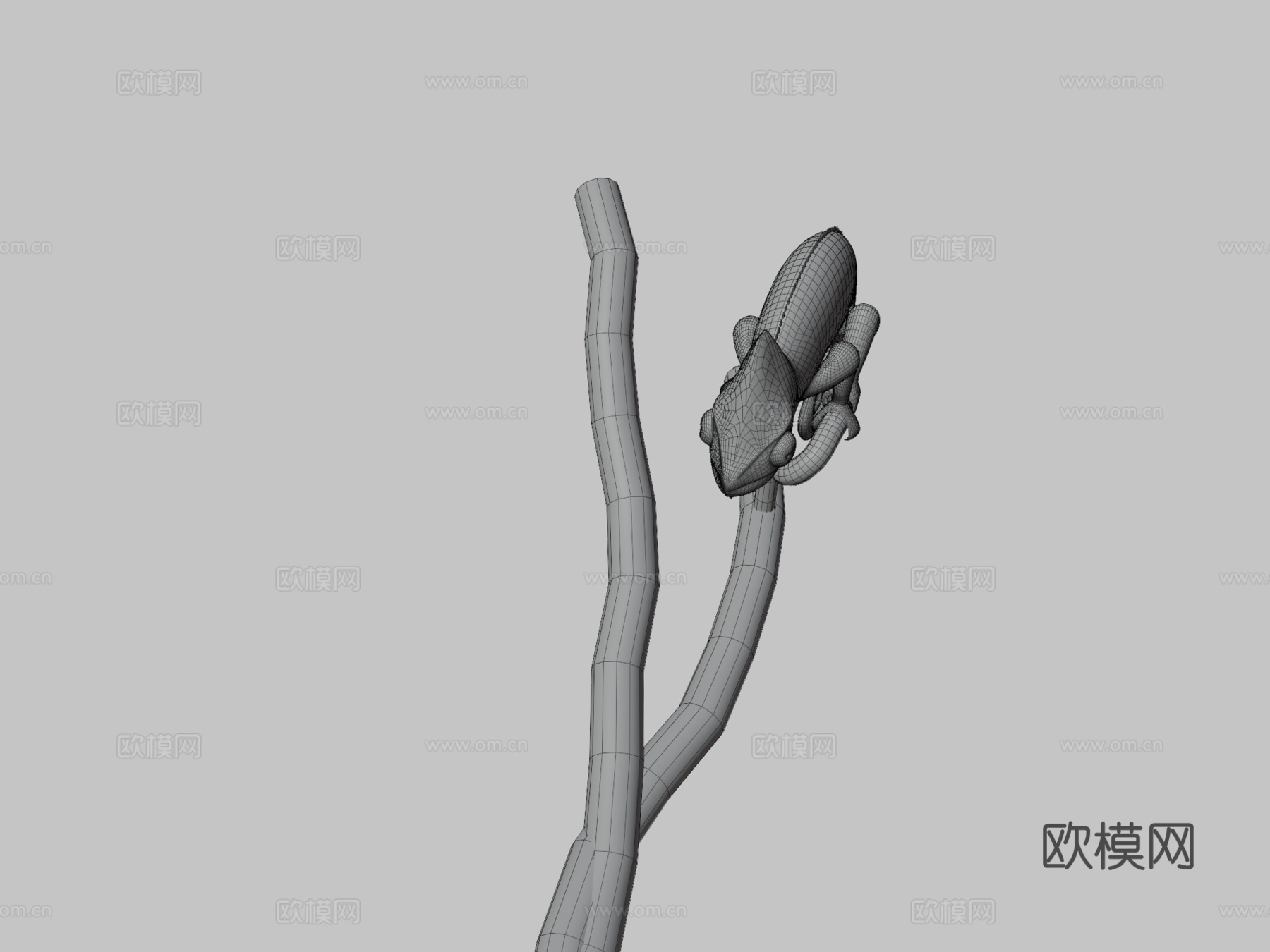 变色龙3d模型